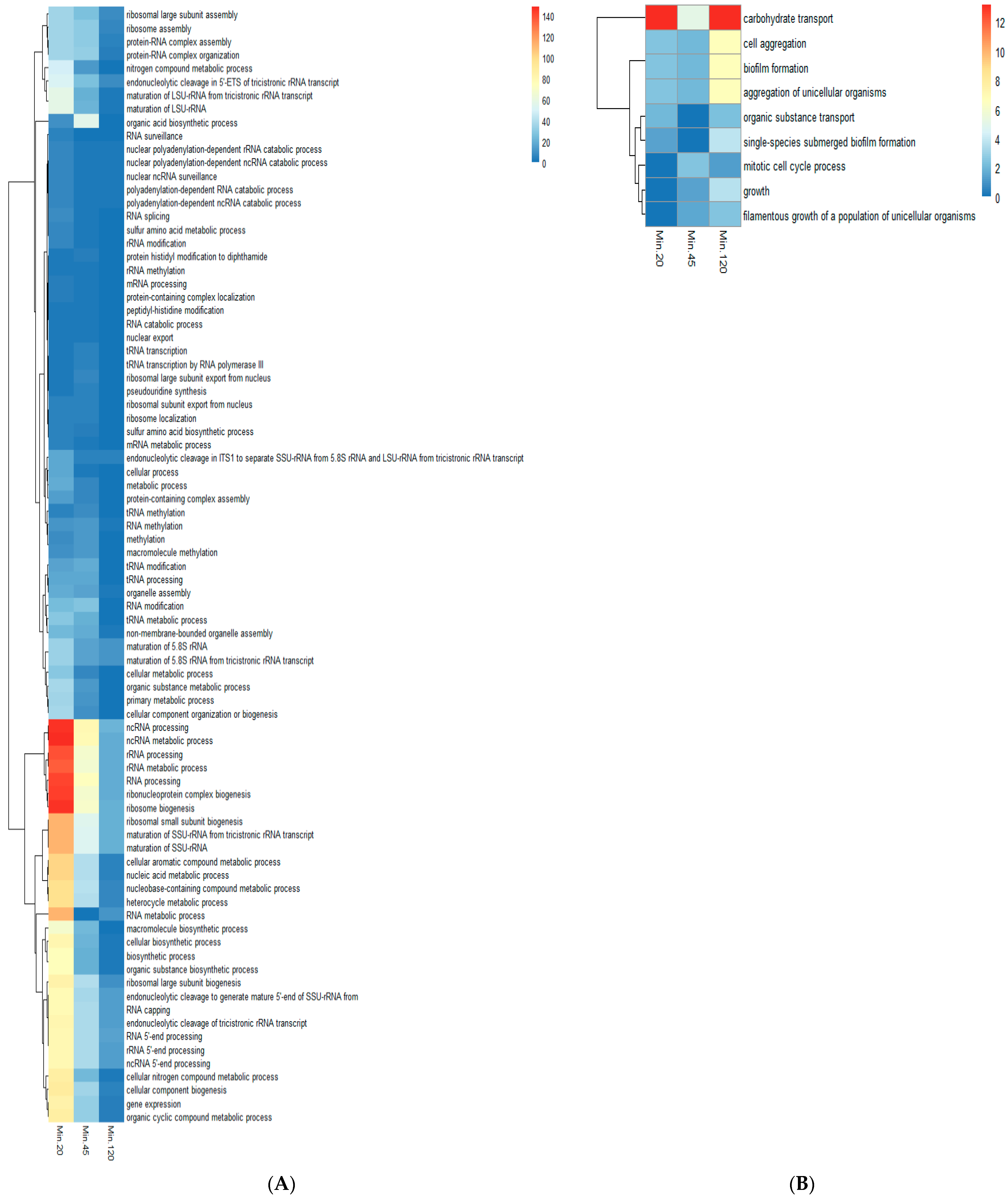 Ijms 24 17227 g004 Ijms 24 17227 g004