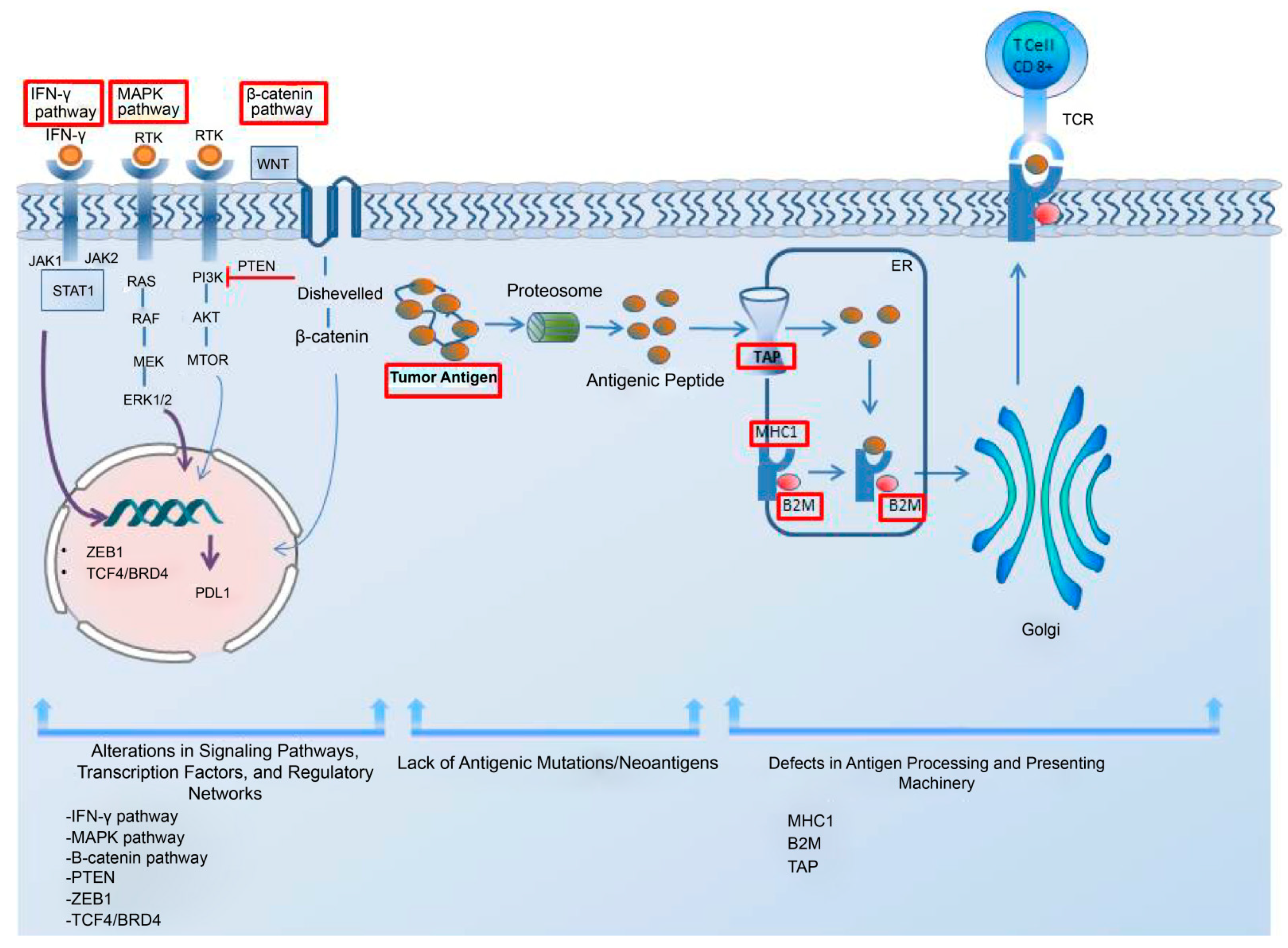 IJMS Free Full Text Current Status and Molecular Mechanisms of