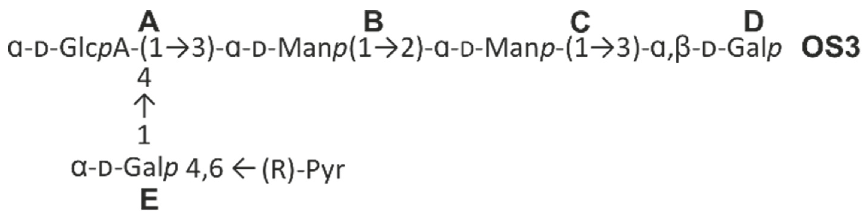 IJMS Free Full Text Depolymerisation of the Klebsiella