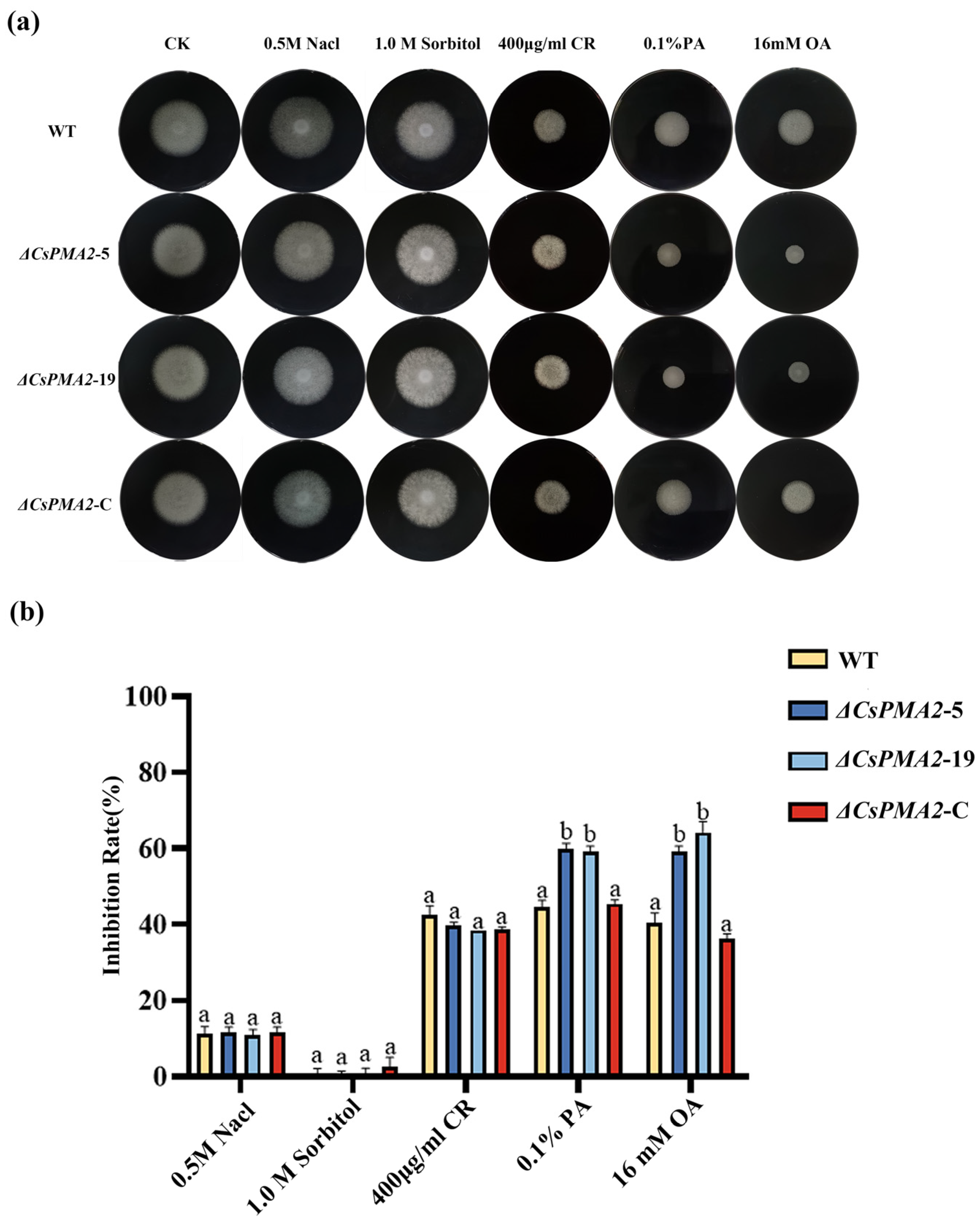Ijms 24 17337 g003 Ijms 24 17337 g003