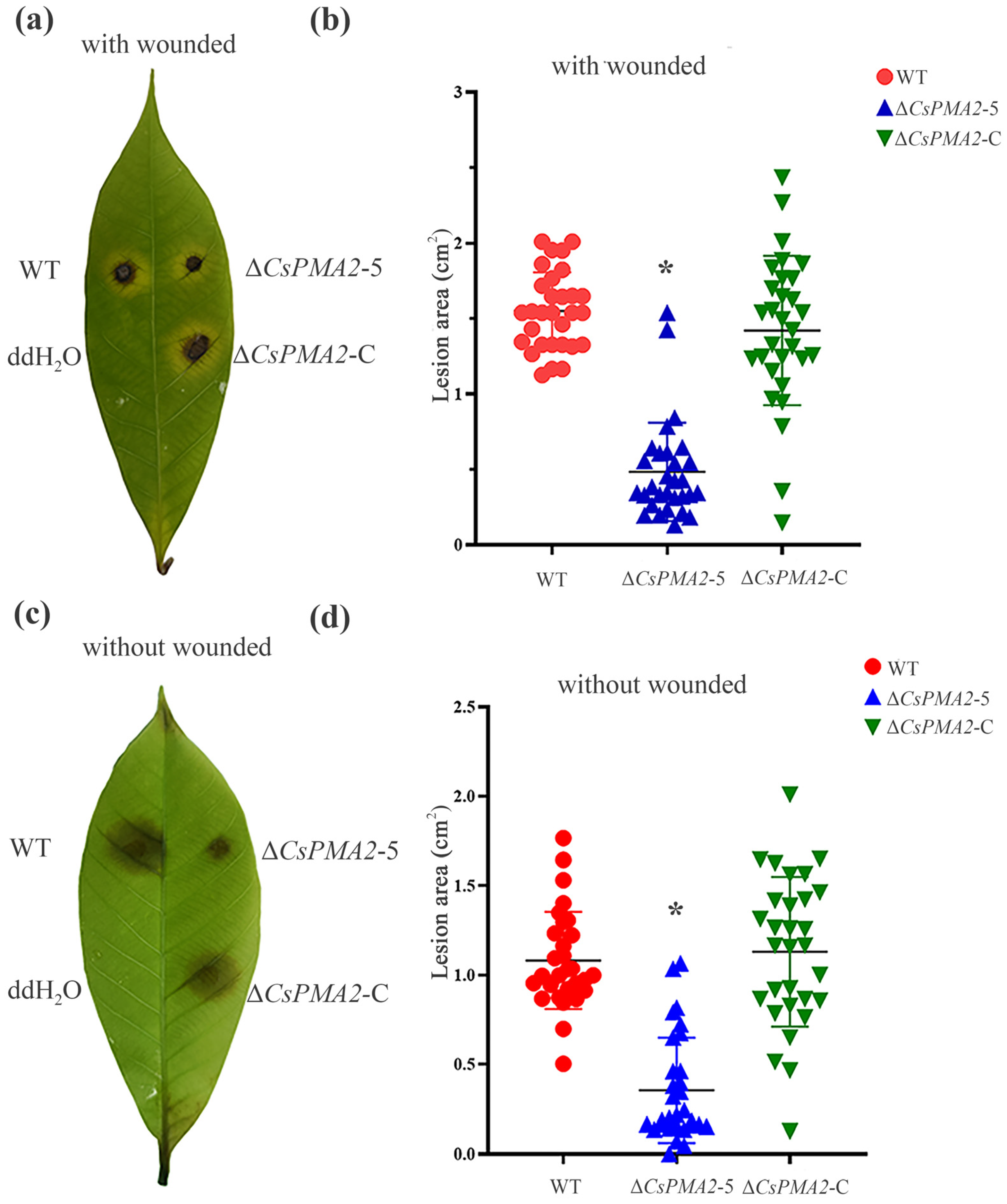 Ijms 24 17337 g004 Ijms 24 17337 g004
