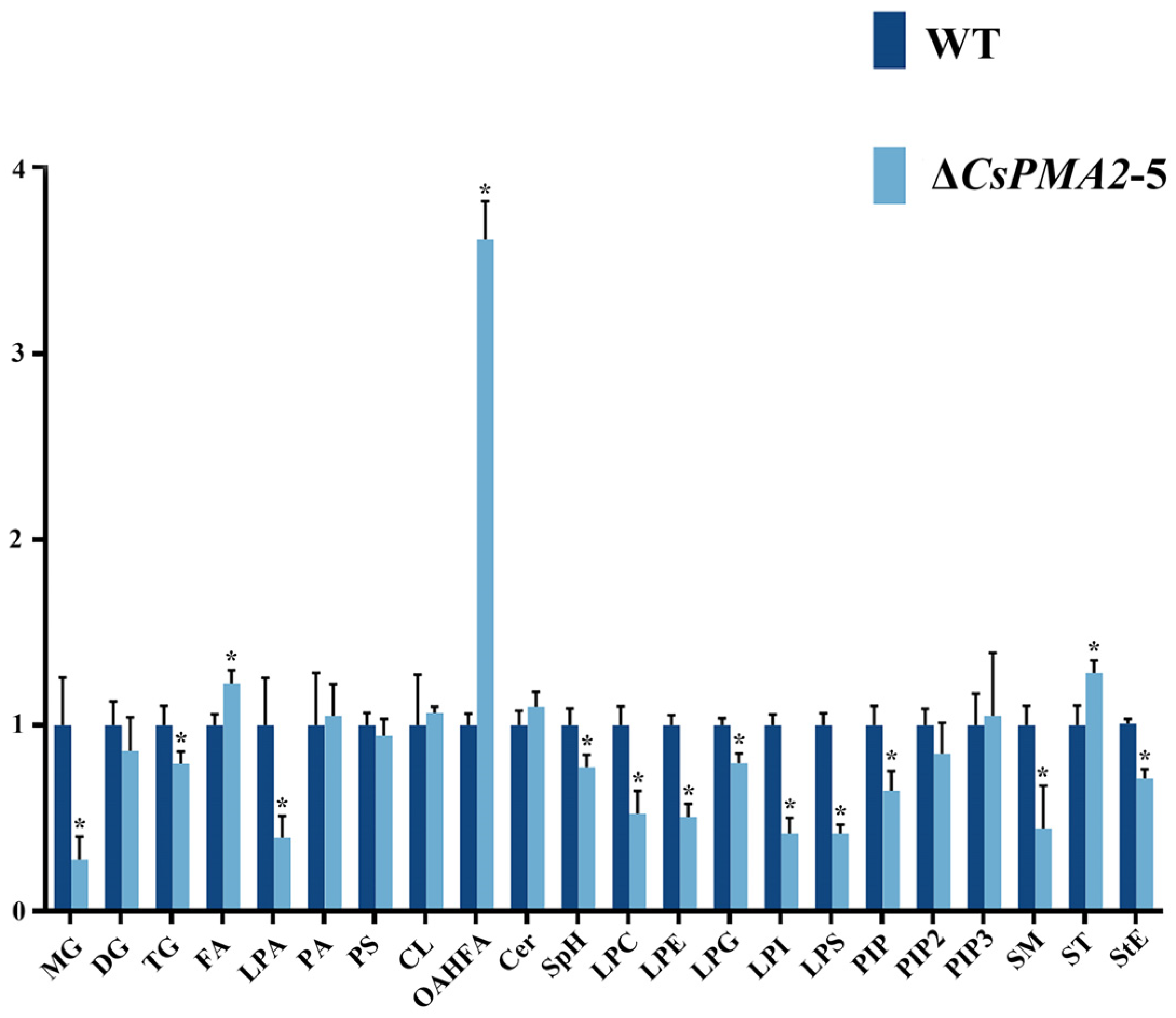 Ijms 24 17337 g007 Ijms 24 17337 g007