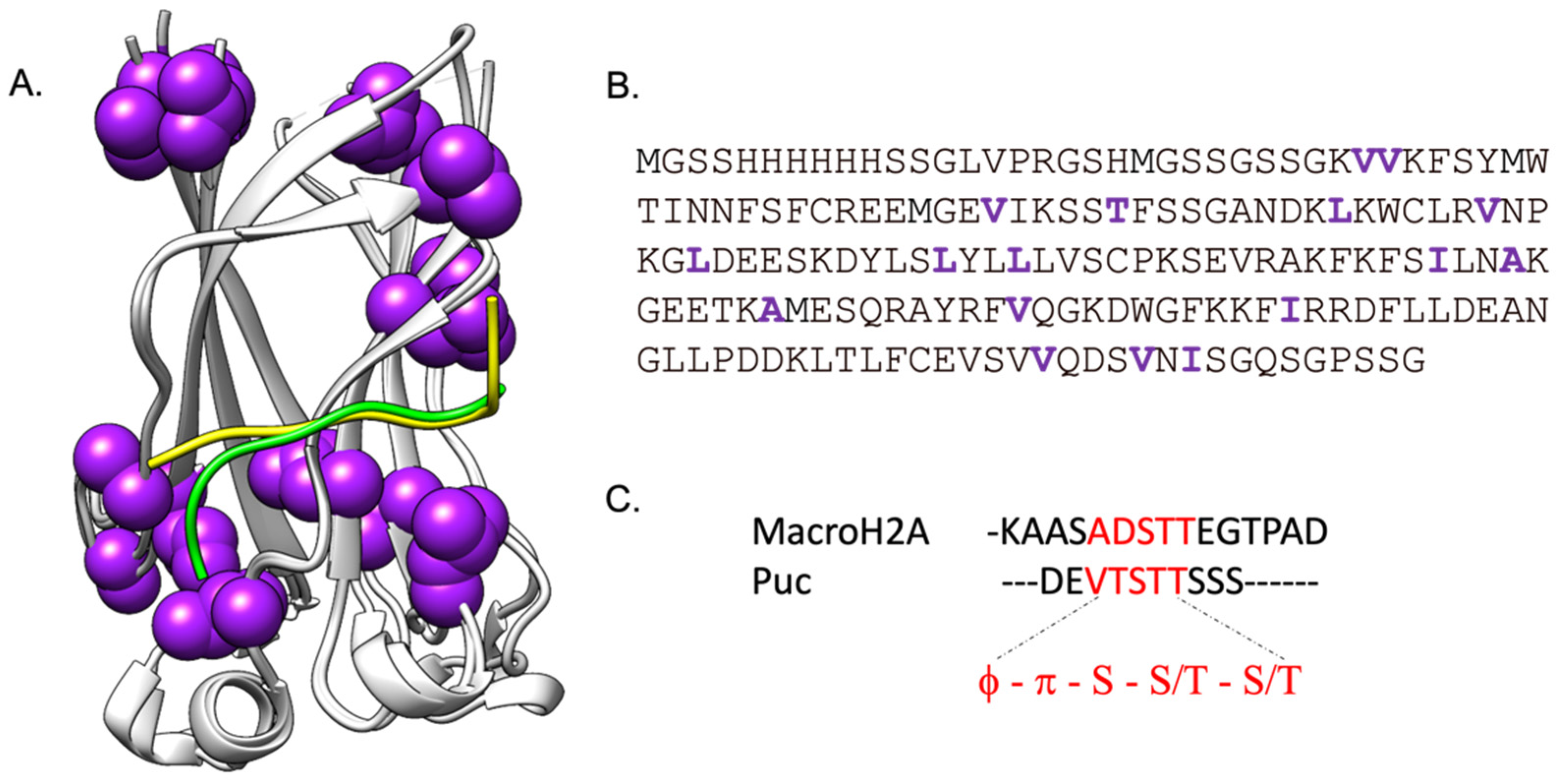 Ijms 24 17364 g001 Ijms 24 17364 g001
