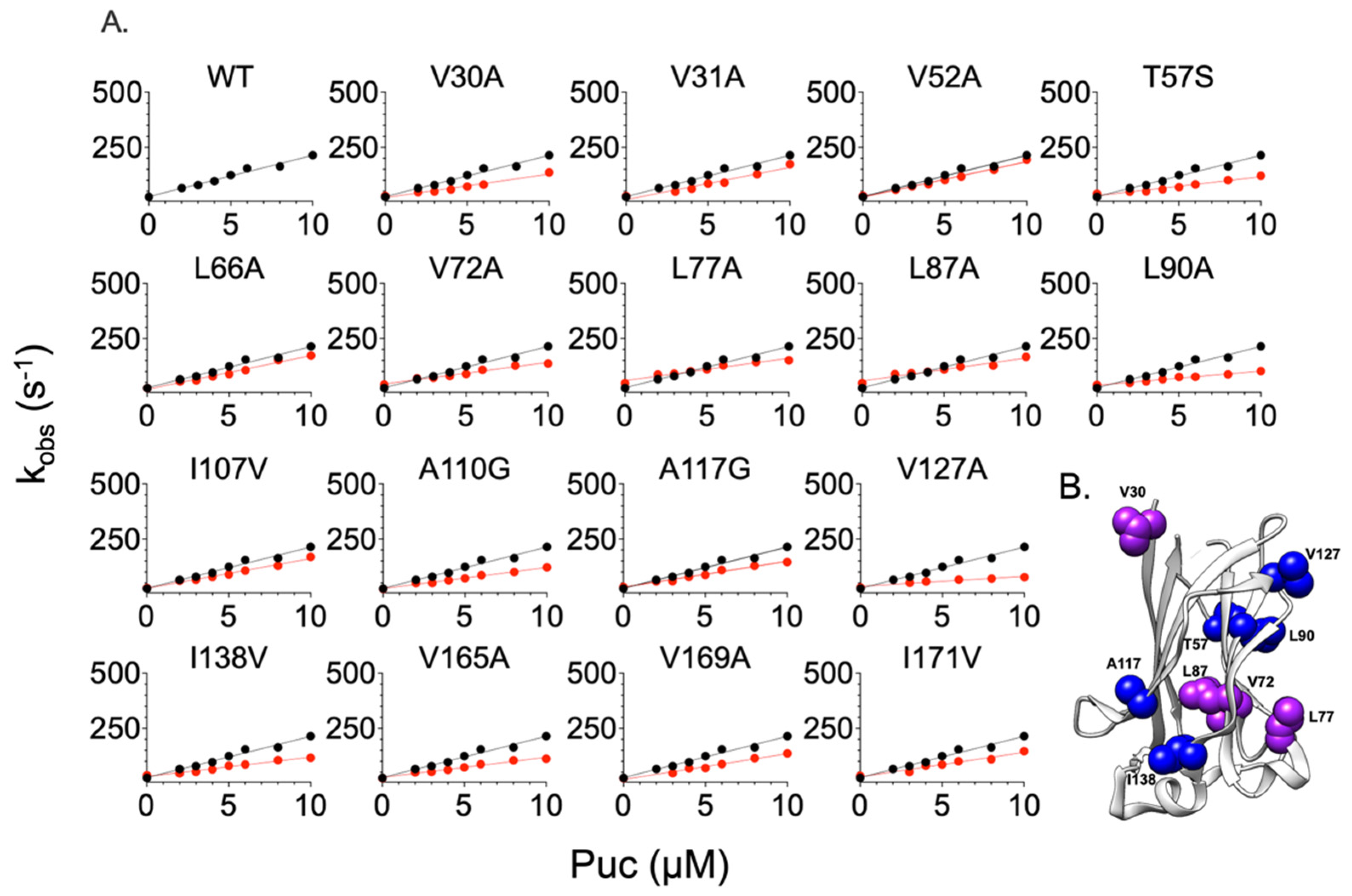 Ijms 24 17364 g002 Ijms 24 17364 g002