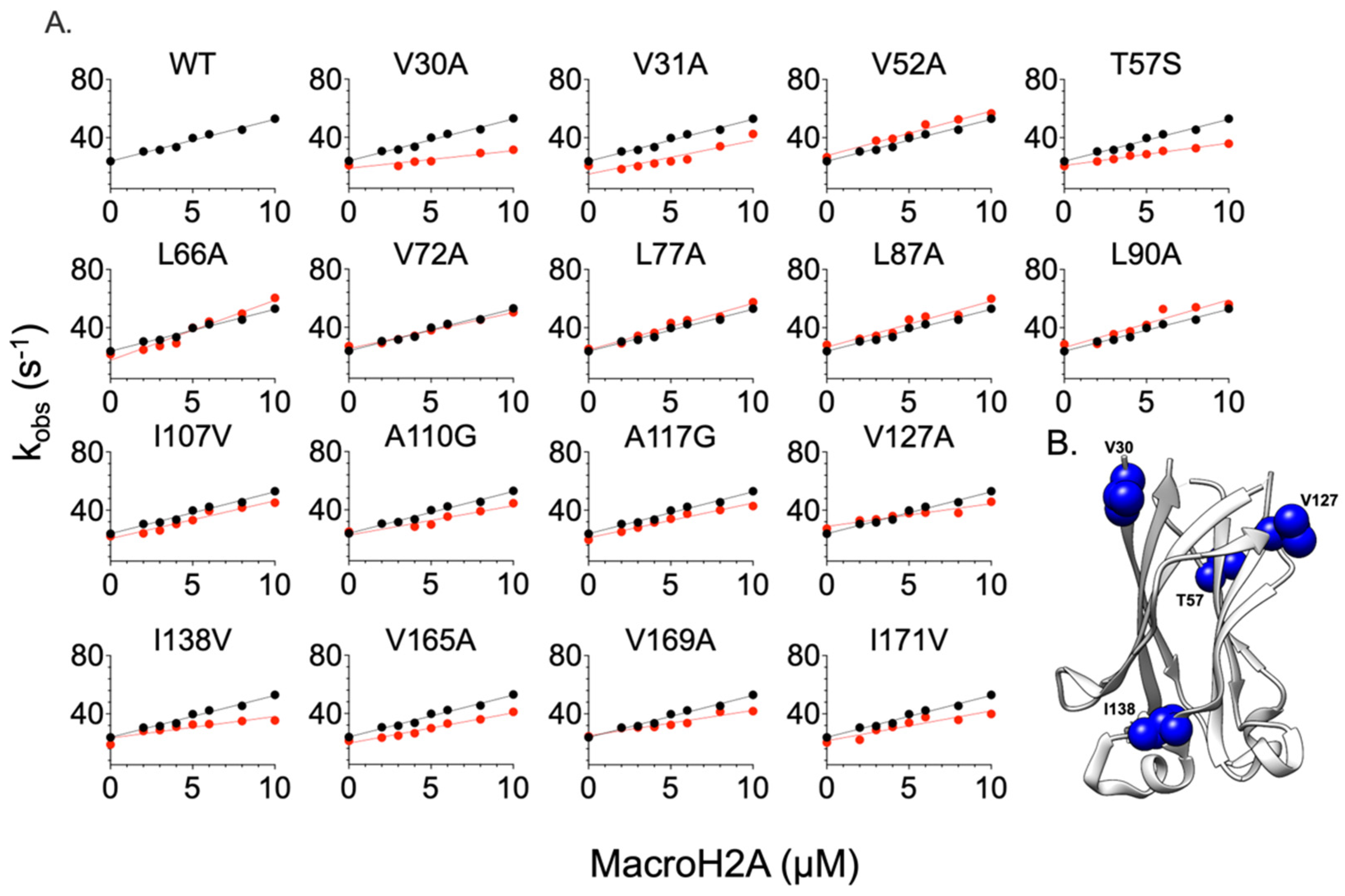 Ijms 24 17364 g003 Ijms 24 17364 g003