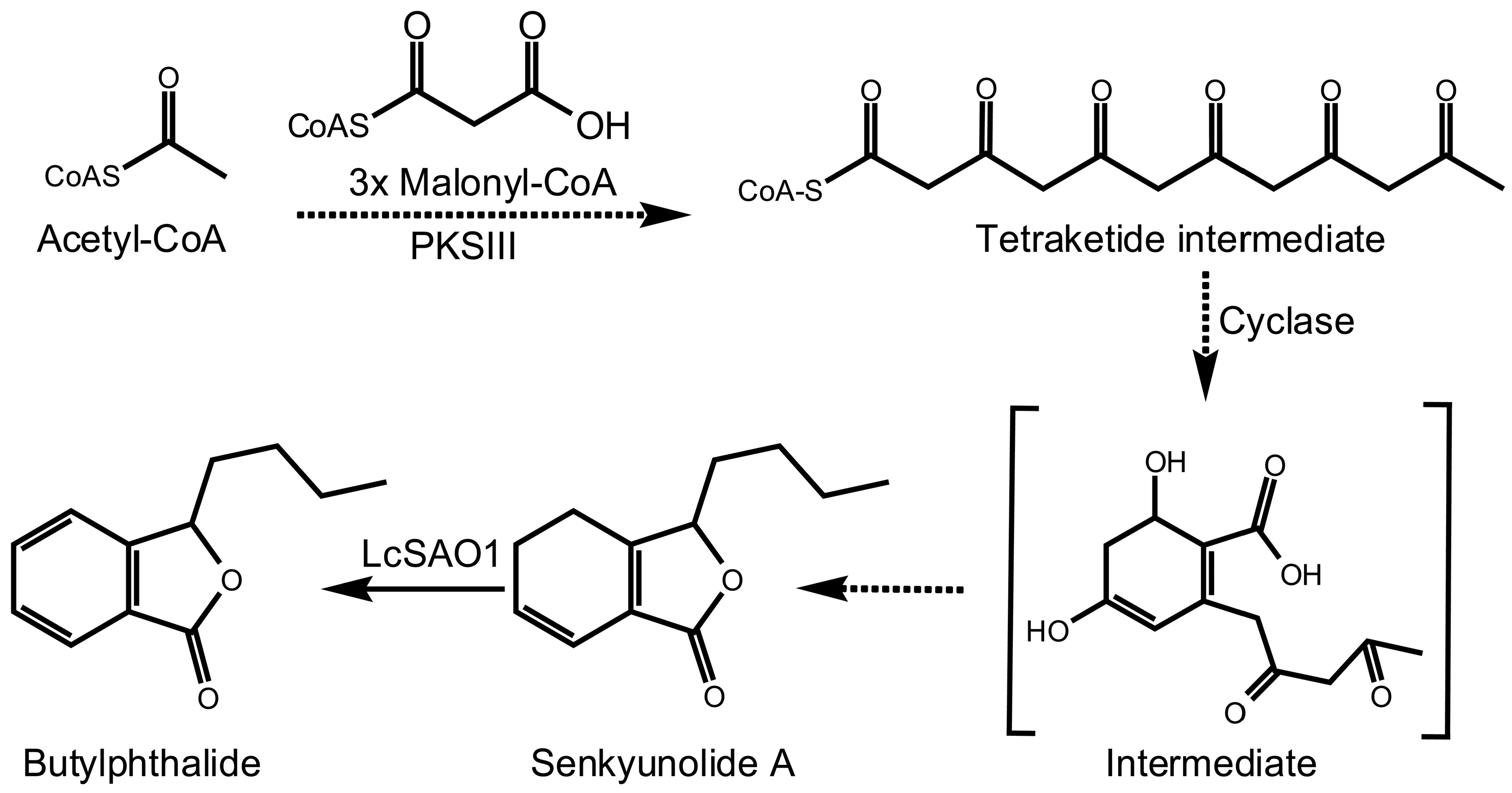 Ijms 24 17417 g001 Ijms 24 17417 g001