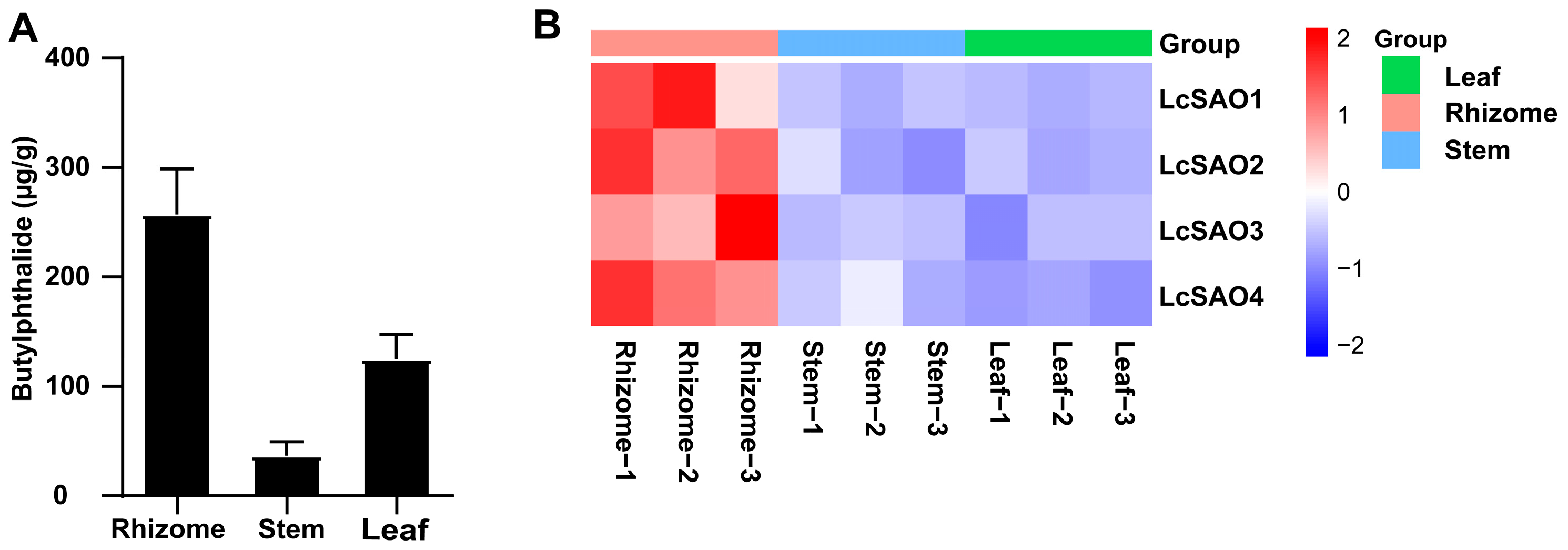 Ijms 24 17417 g002 Ijms 24 17417 g002