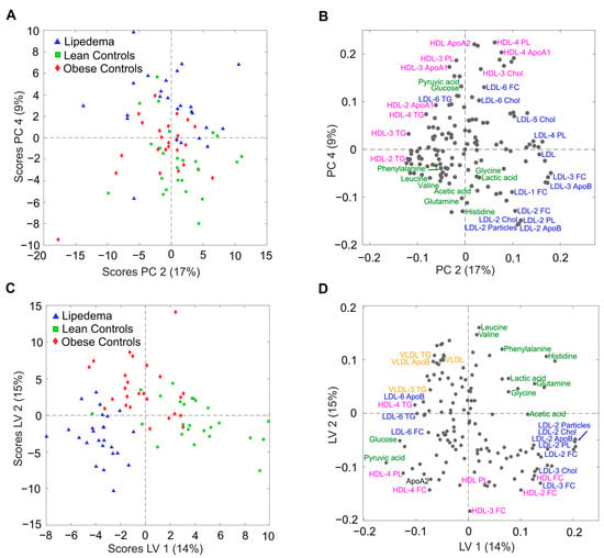 Biomarker for lipedema, other lymphatic diseases discovered