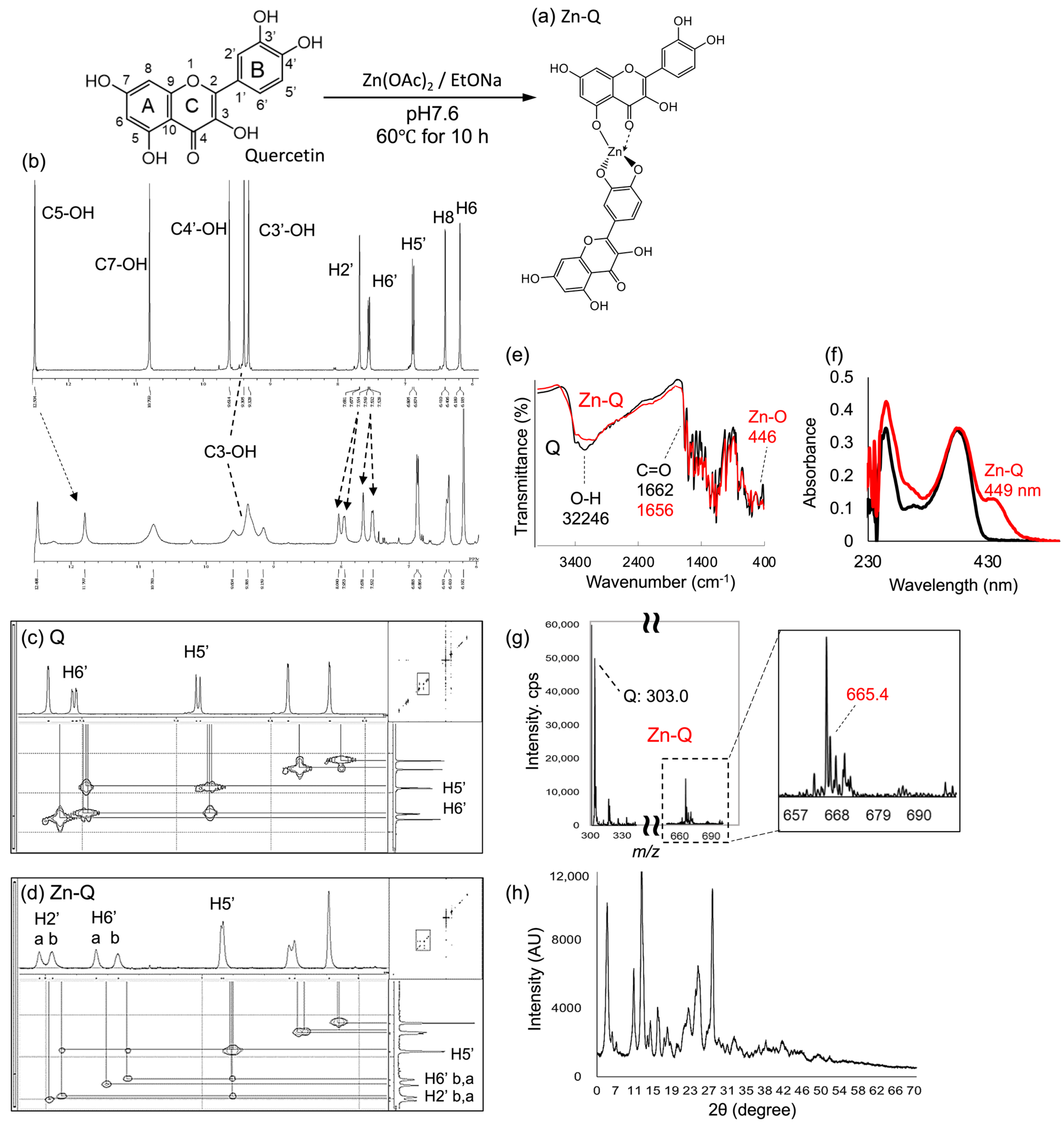 IJMS Free Full Text Apoptosis Induction in HepG2 and HCT116