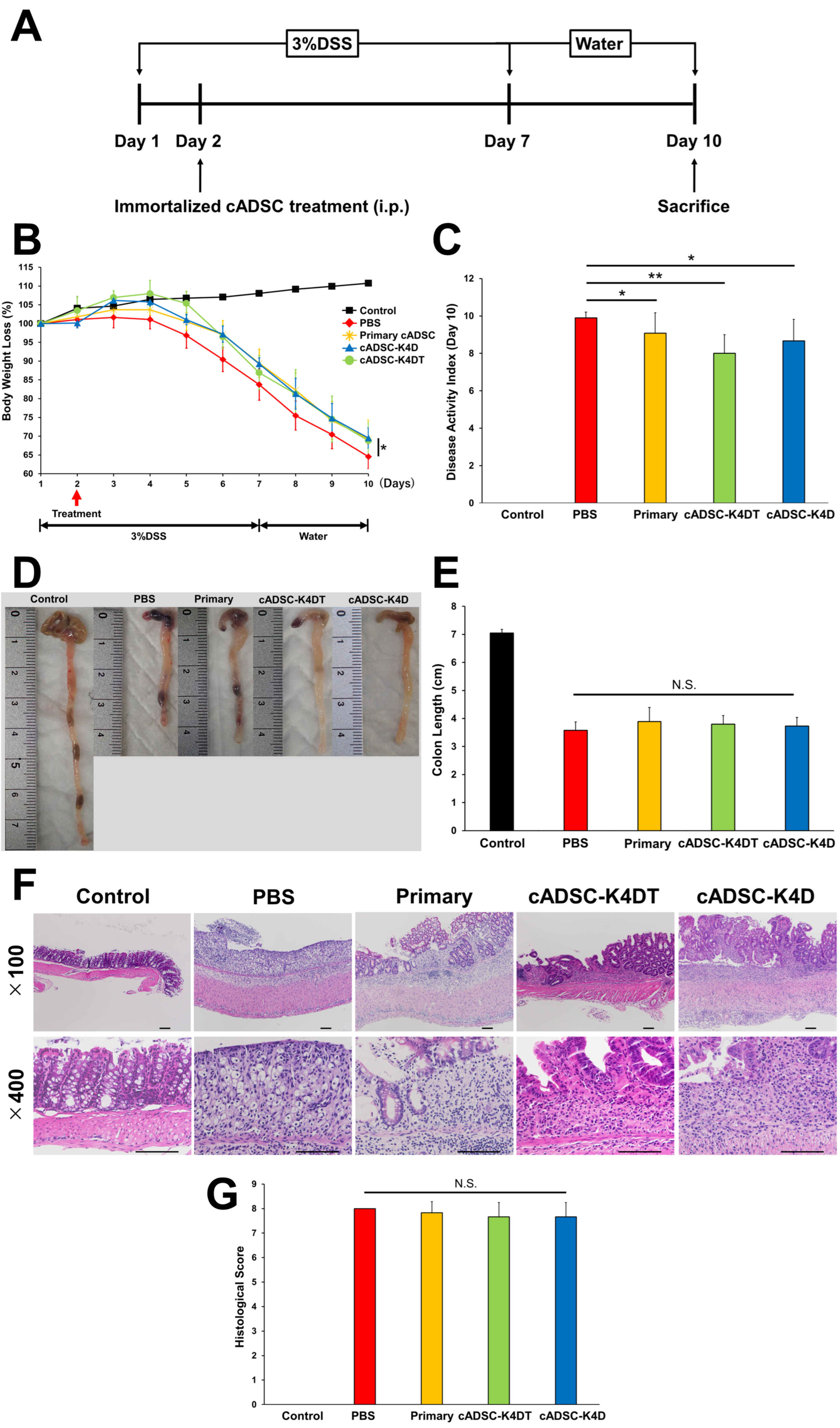 Ijms 24 17484 g001 Ijms 24 17484 g001