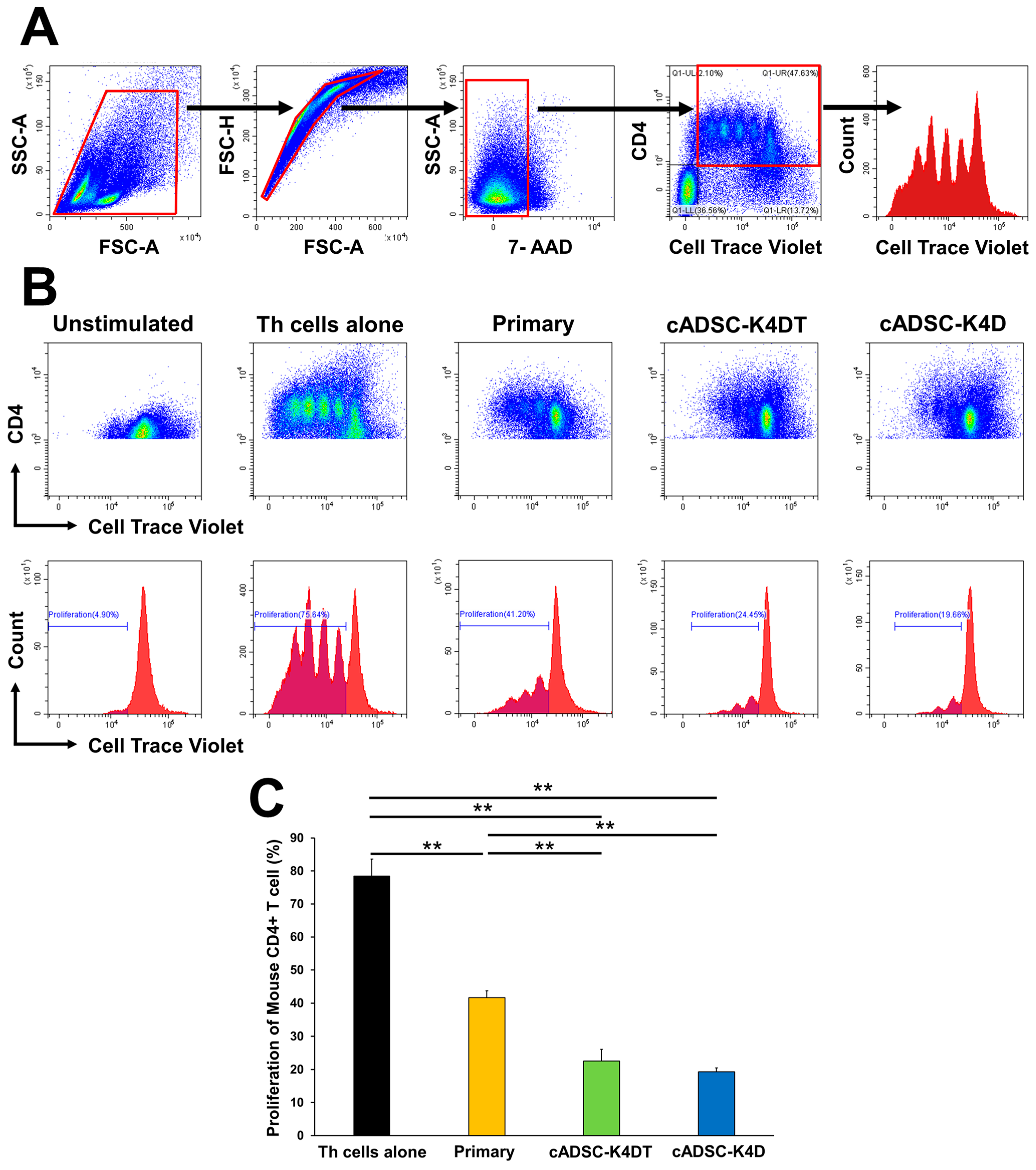 Ijms 24 17484 g005 Ijms 24 17484 g005