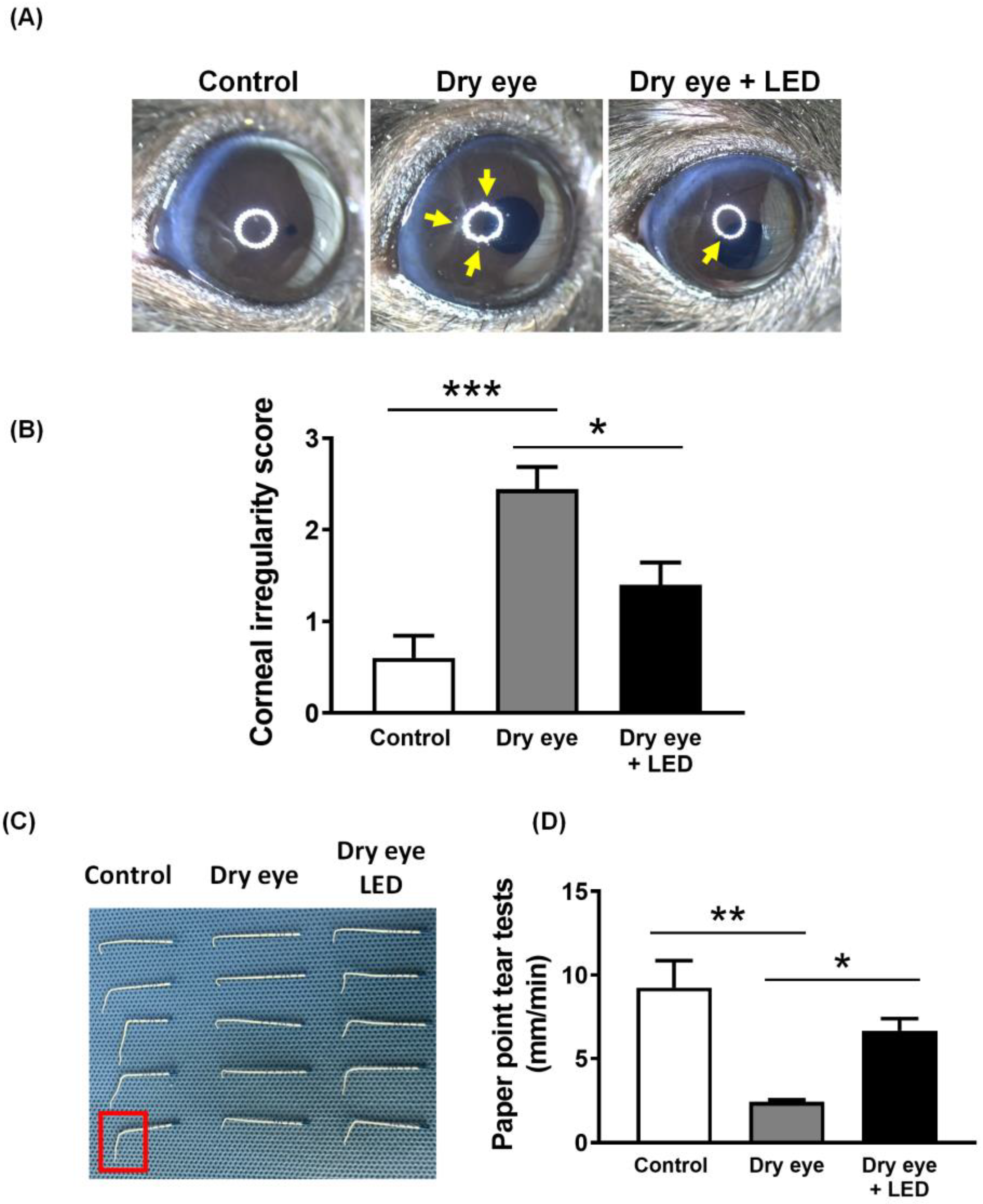 Ijms 24 17493 g002 Ijms 24 17493 g002