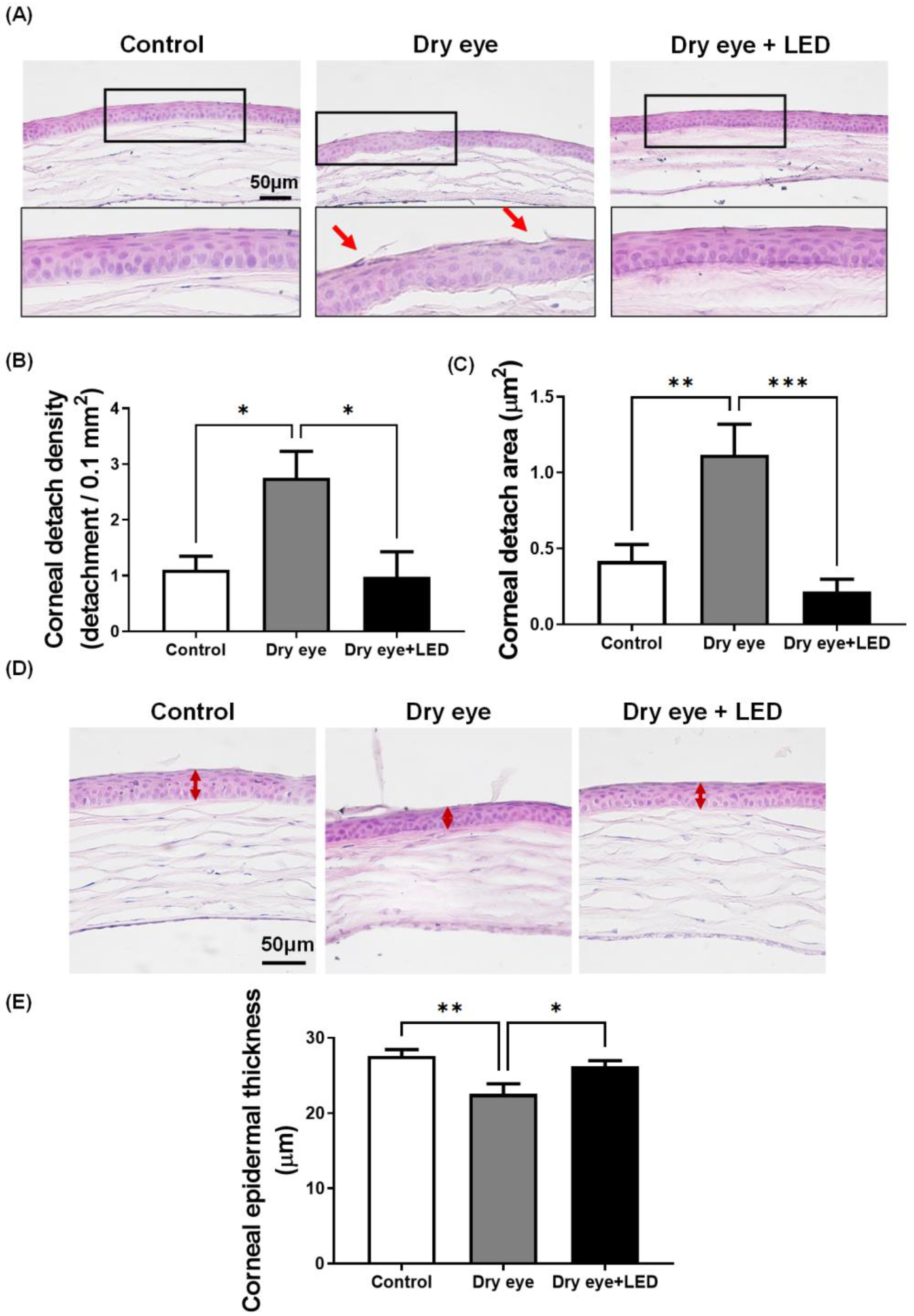 Ijms 24 17493 g003 Ijms 24 17493 g003