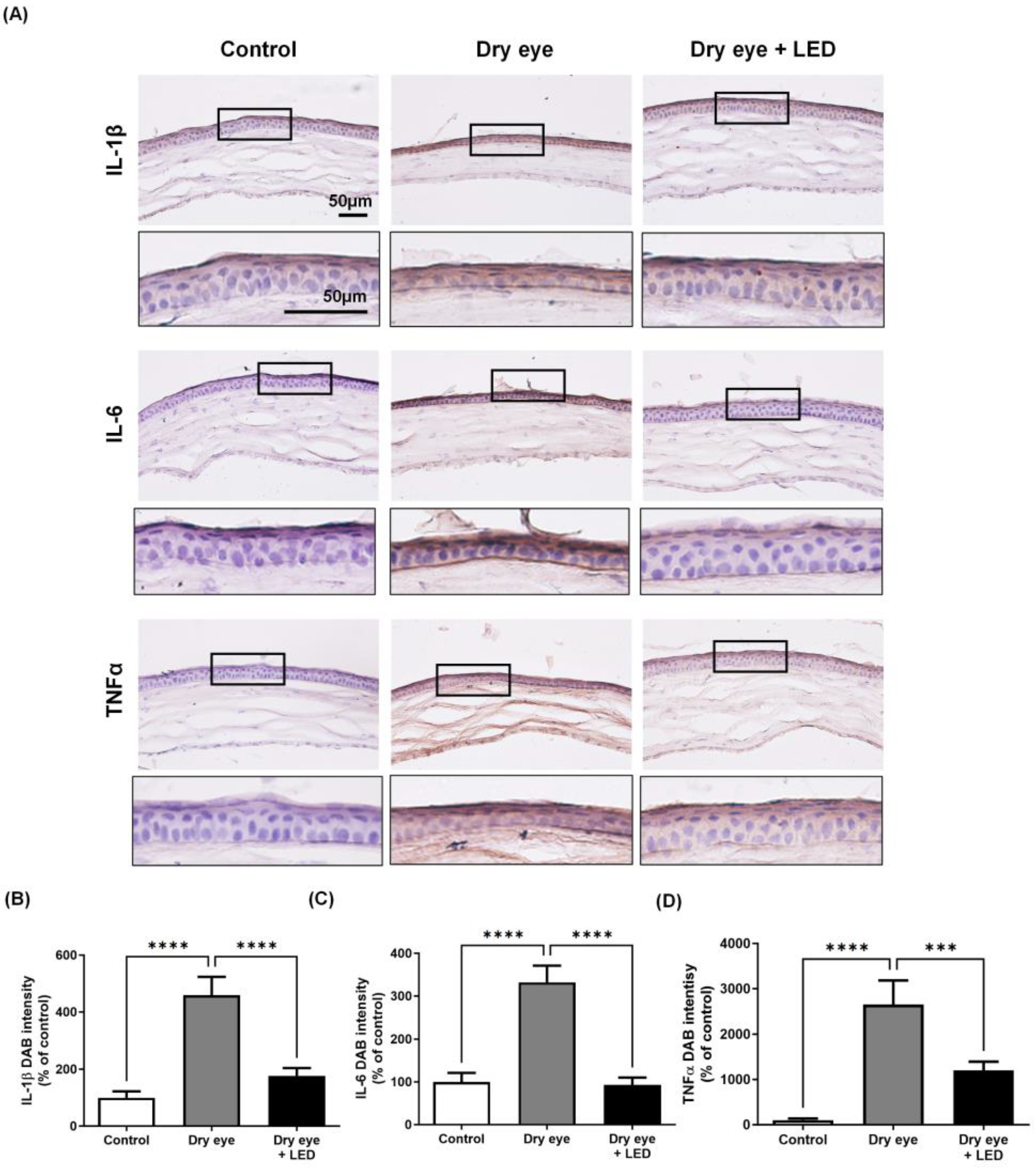 Ijms 24 17493 g004 Ijms 24 17493 g004