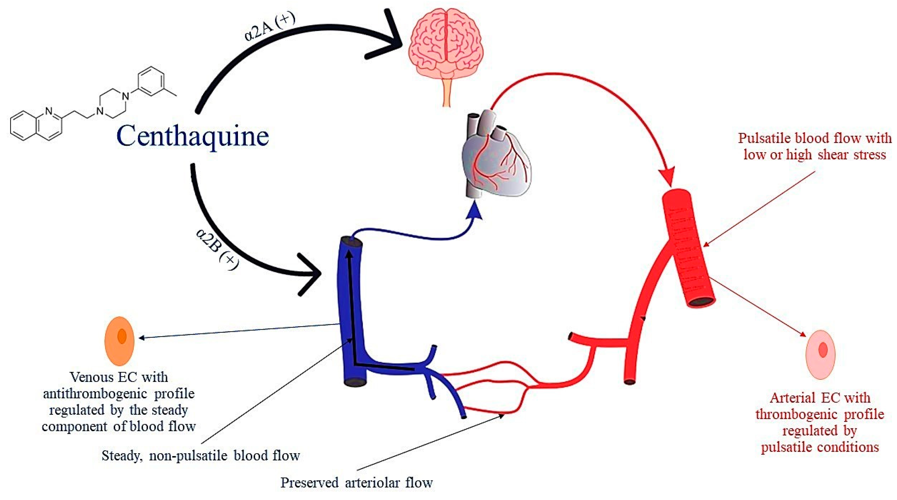 Ijms 24 17522 g005 Ijms 24 17522 g005