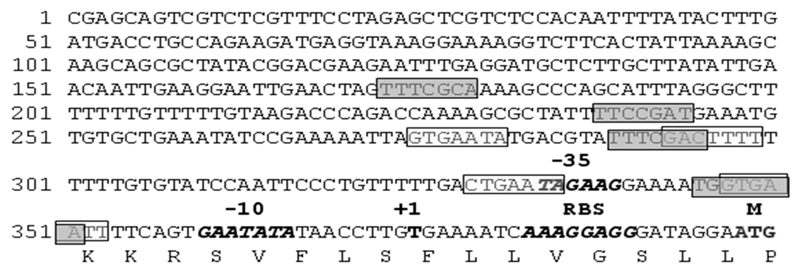 Ijms 25 00062 g001 Ijms 25 00062 g001