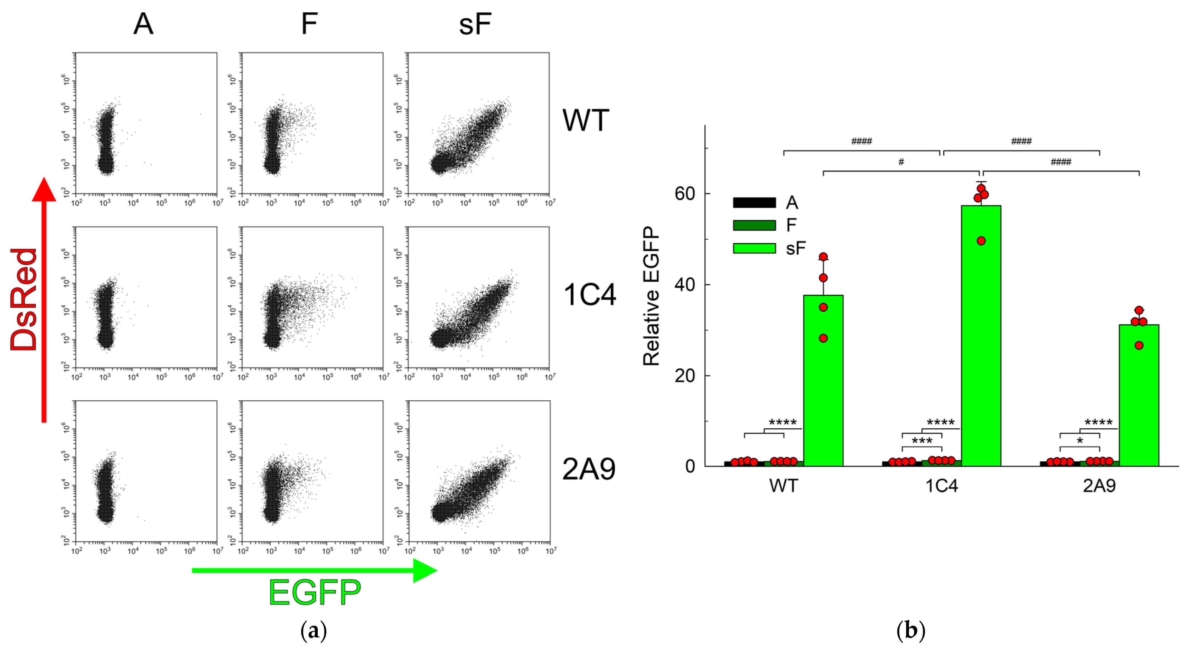 Ijms 25 00064 g002 Ijms 25 00064 g002