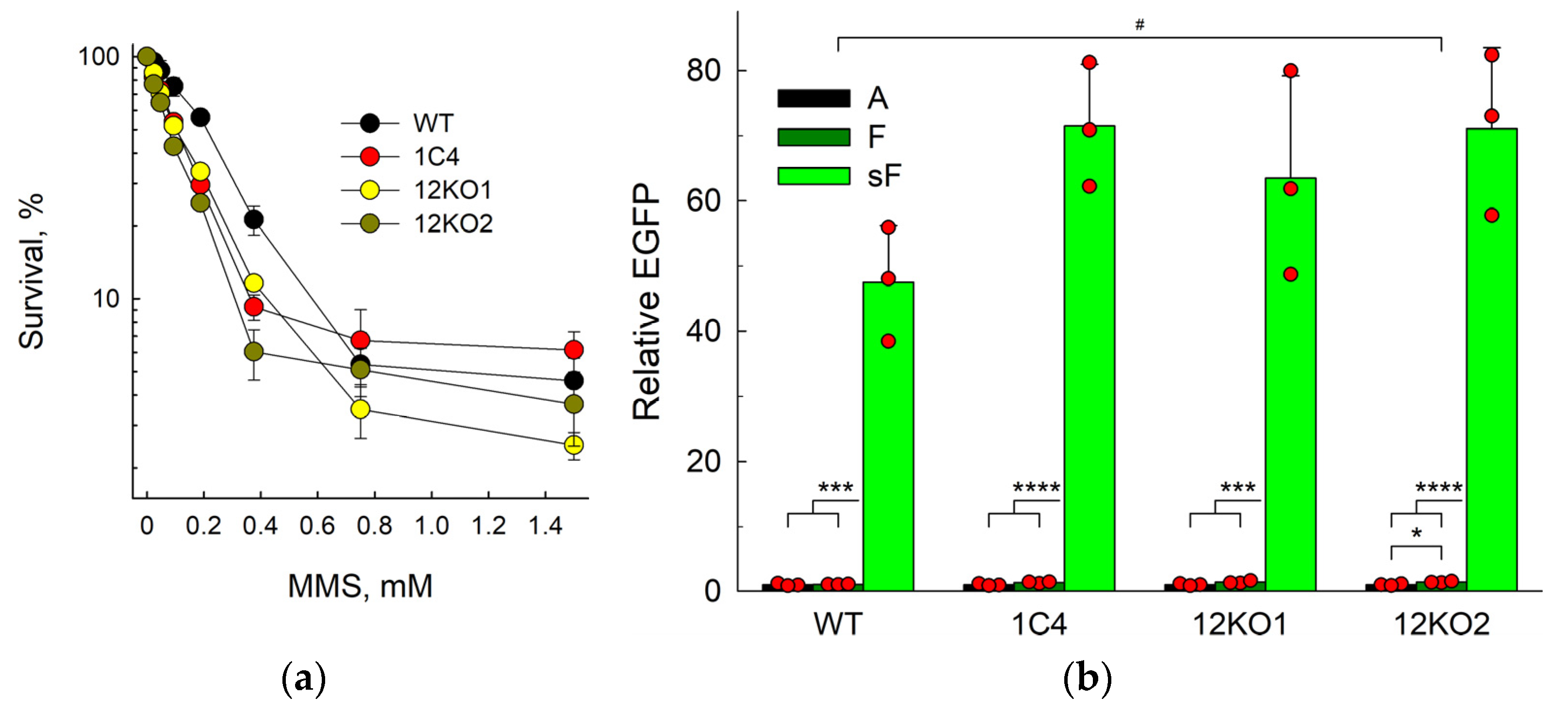 Ijms 25 00064 g003 Ijms 25 00064 g003