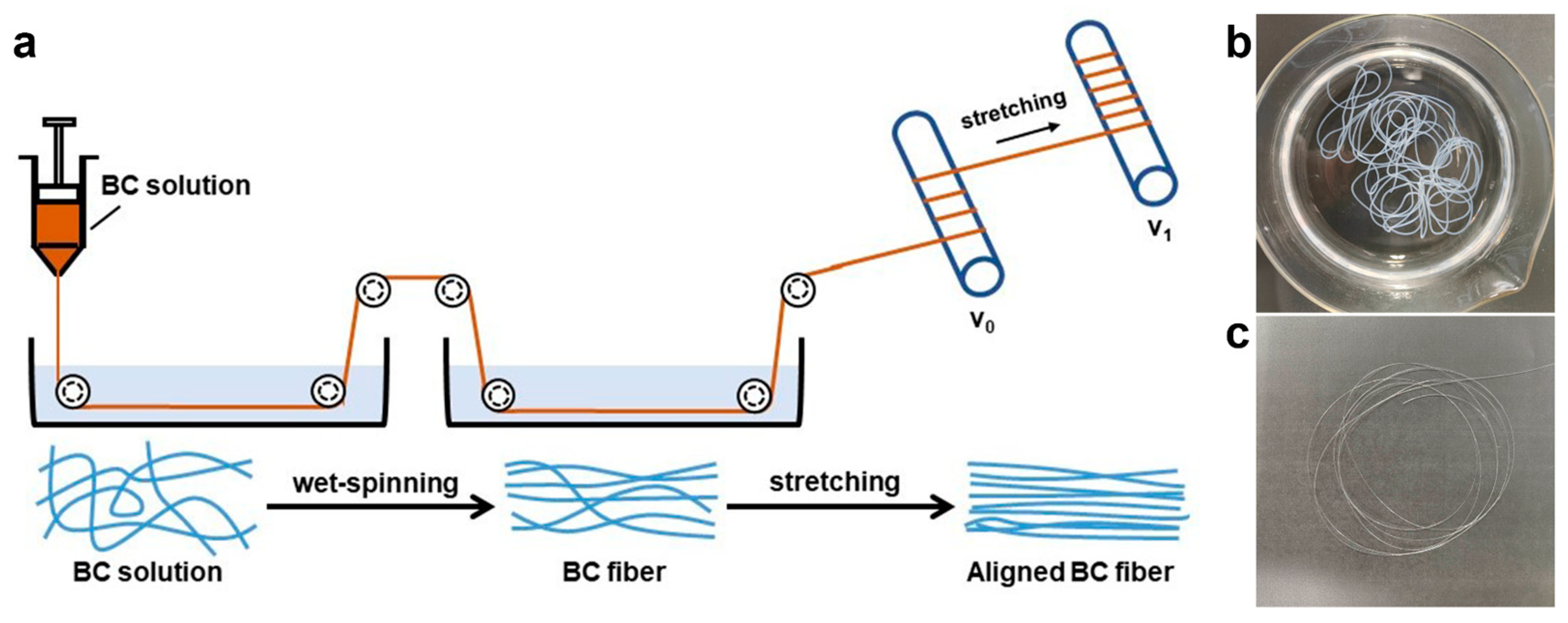 Ijms 25 00069 sch001