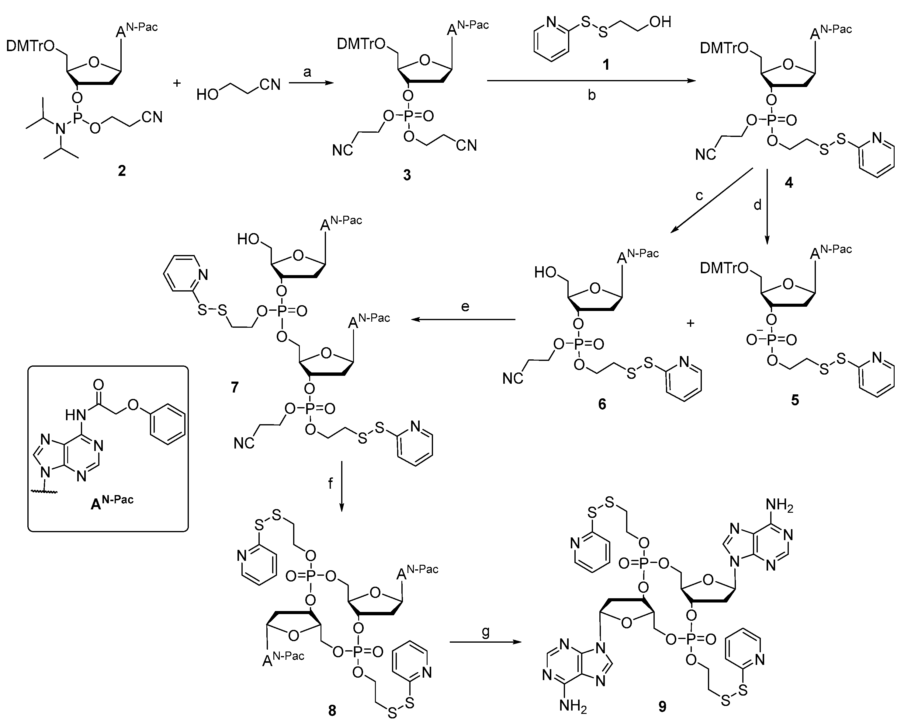 Ijms 25 00086 sch001