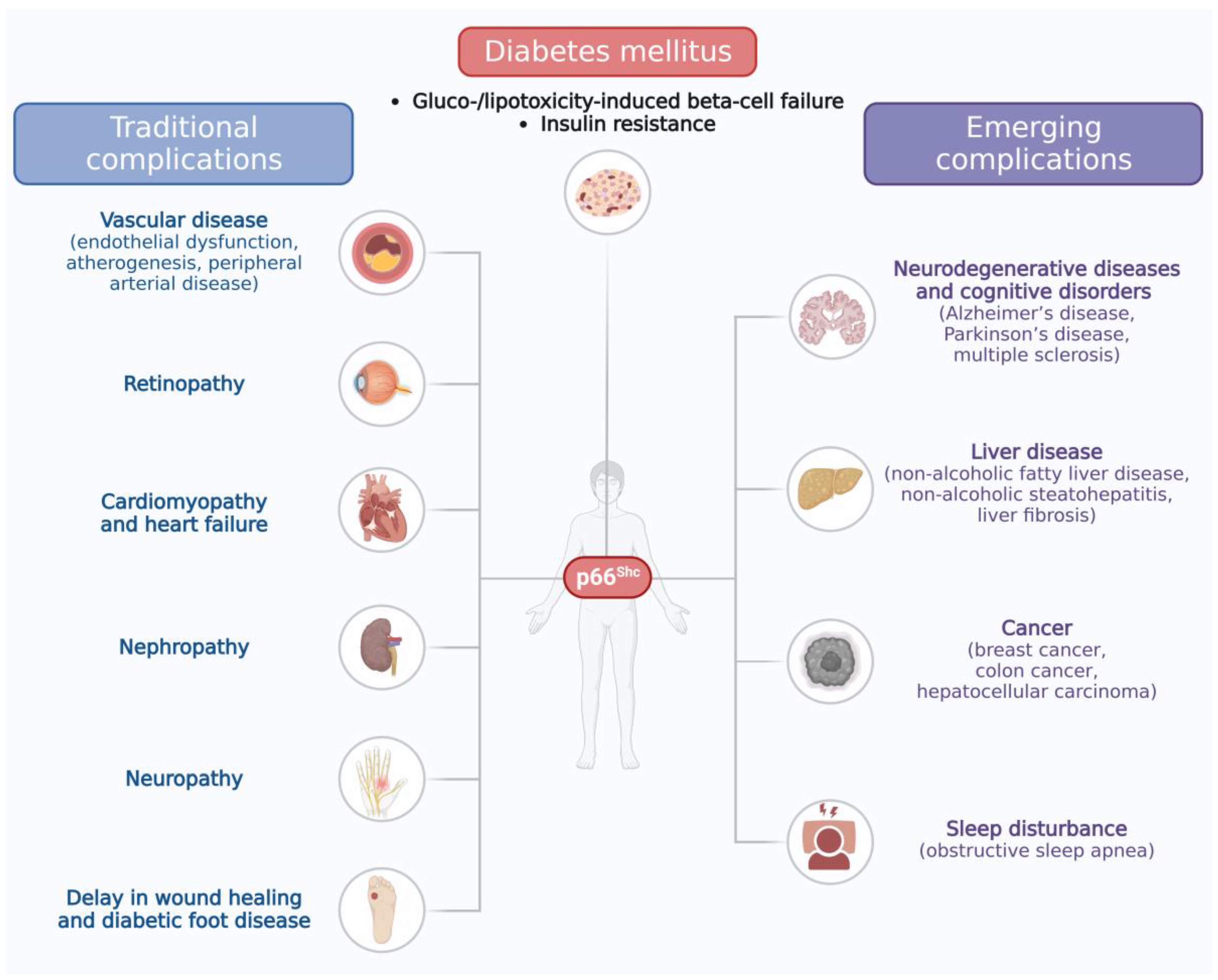 Ijms 25 00108 g001 Ijms 25 00108 g001