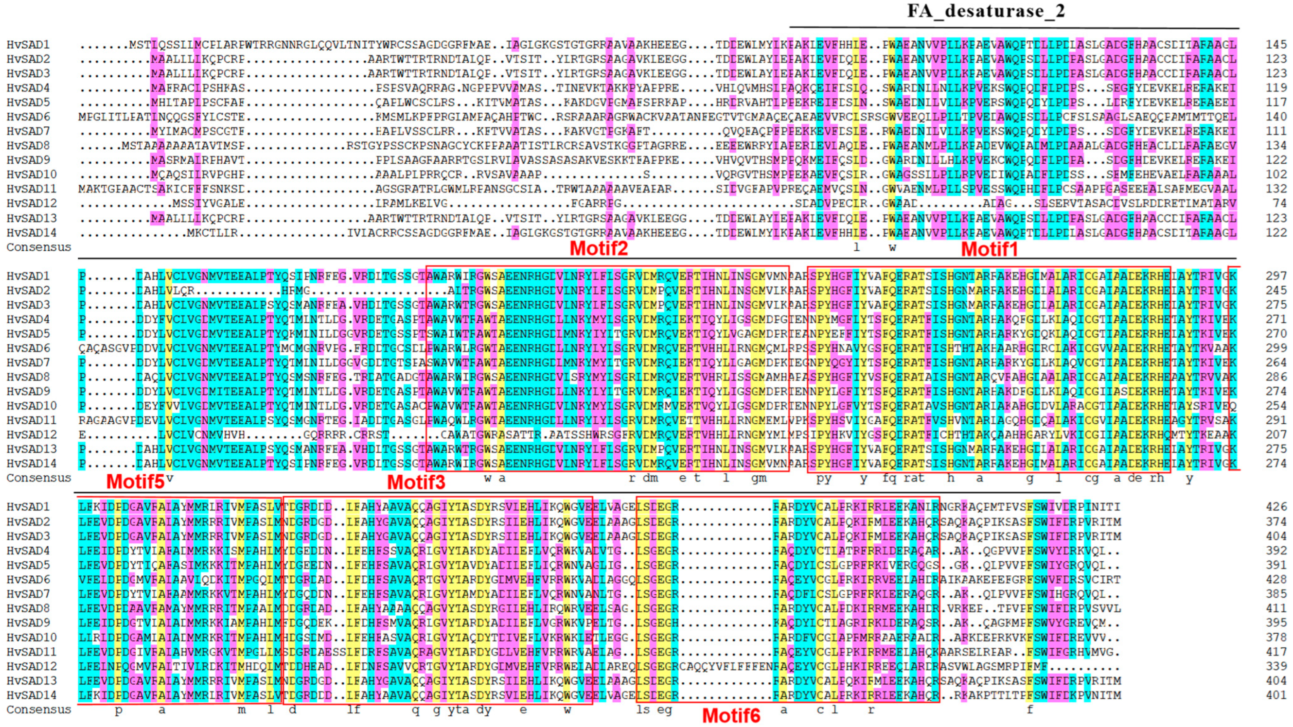 Ijms 25 00113 g001 Ijms 25 00113 g001