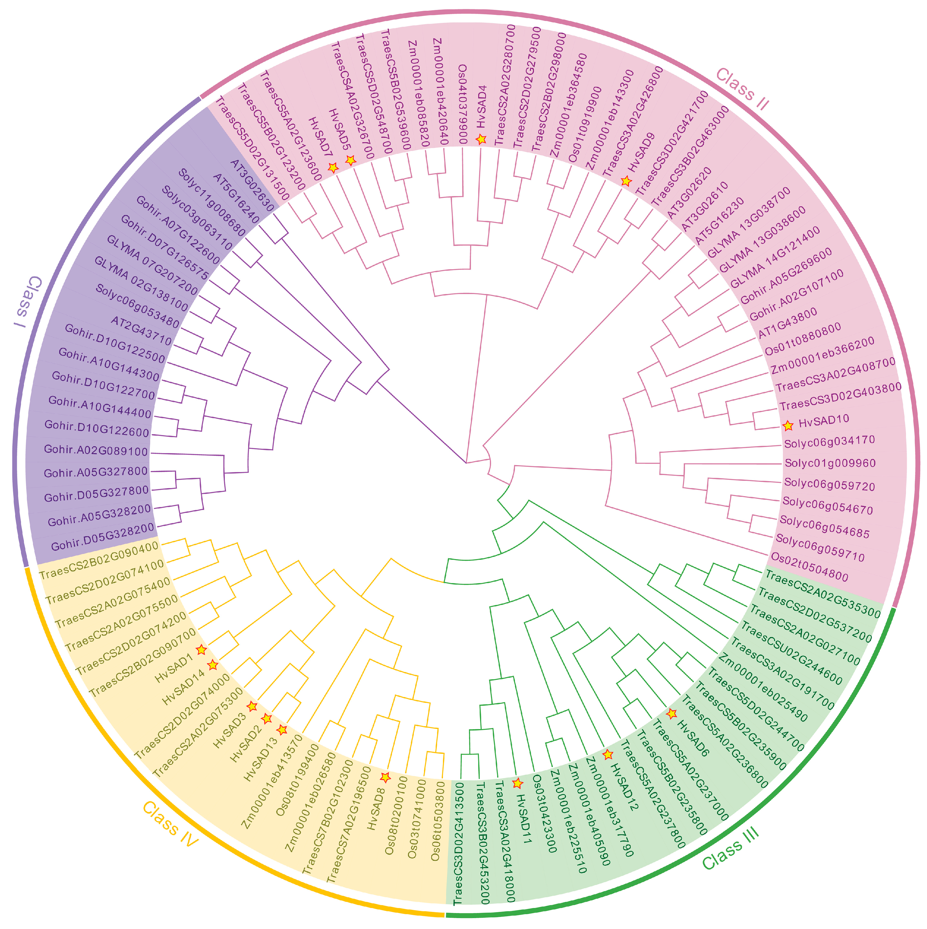 Ijms 25 00113 g002 Ijms 25 00113 g002