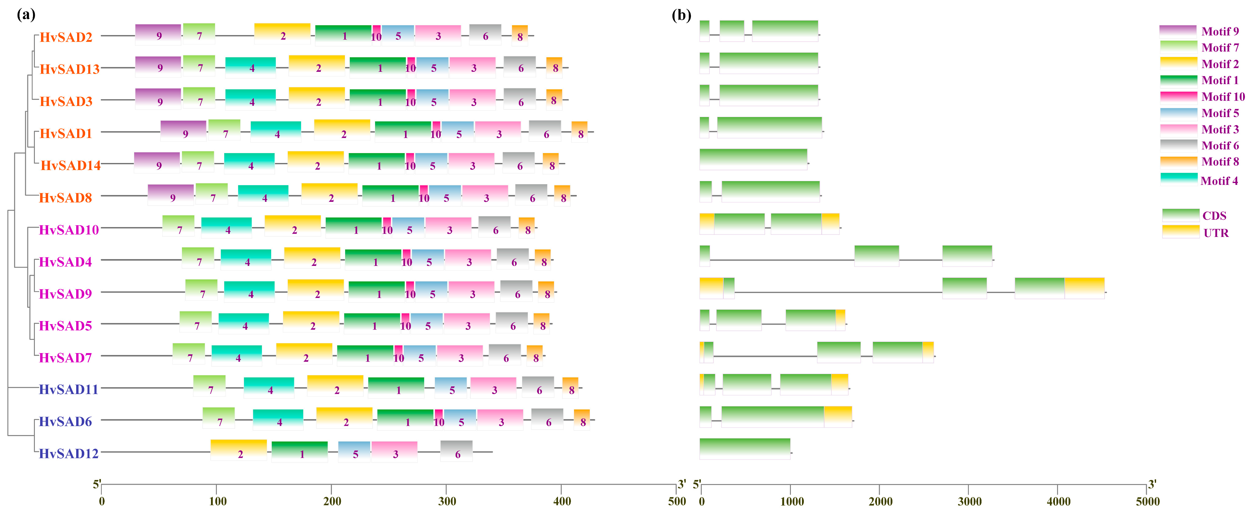 Ijms 25 00113 g003 Ijms 25 00113 g003