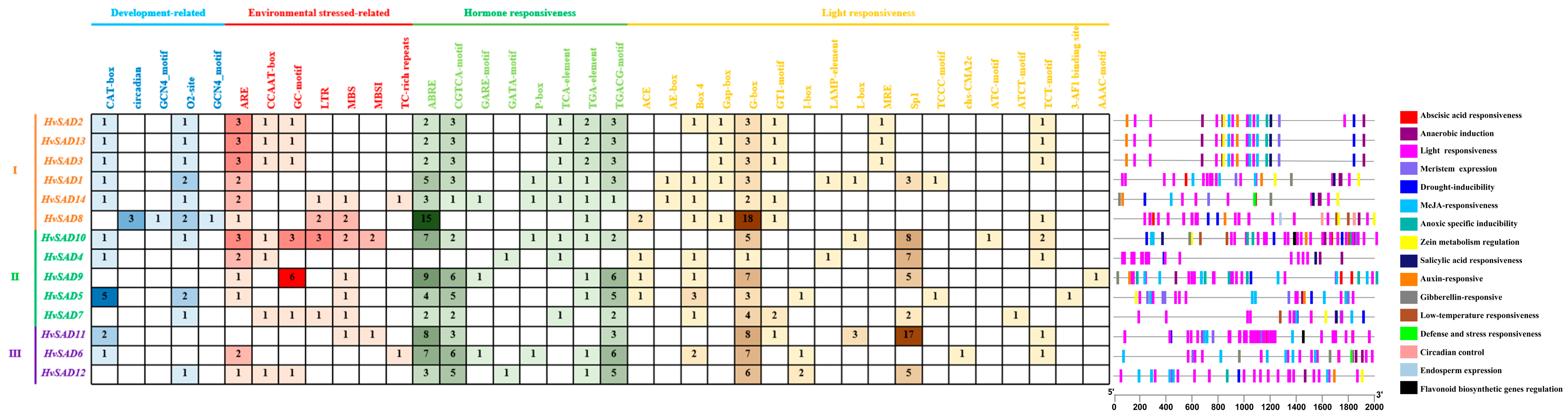 Ijms 25 00113 g004 Ijms 25 00113 g004