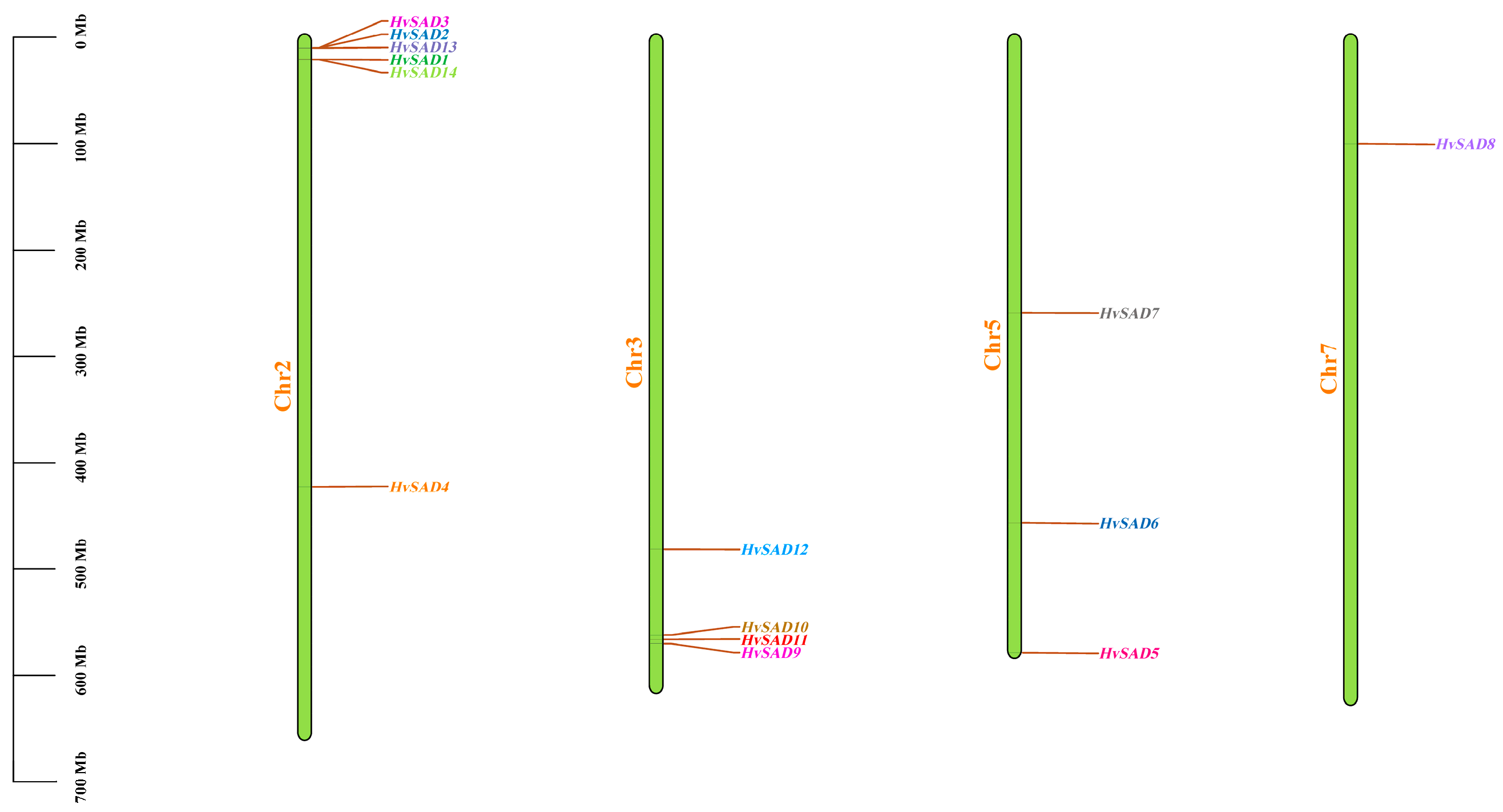 Ijms 25 00113 g005 Ijms 25 00113 g005