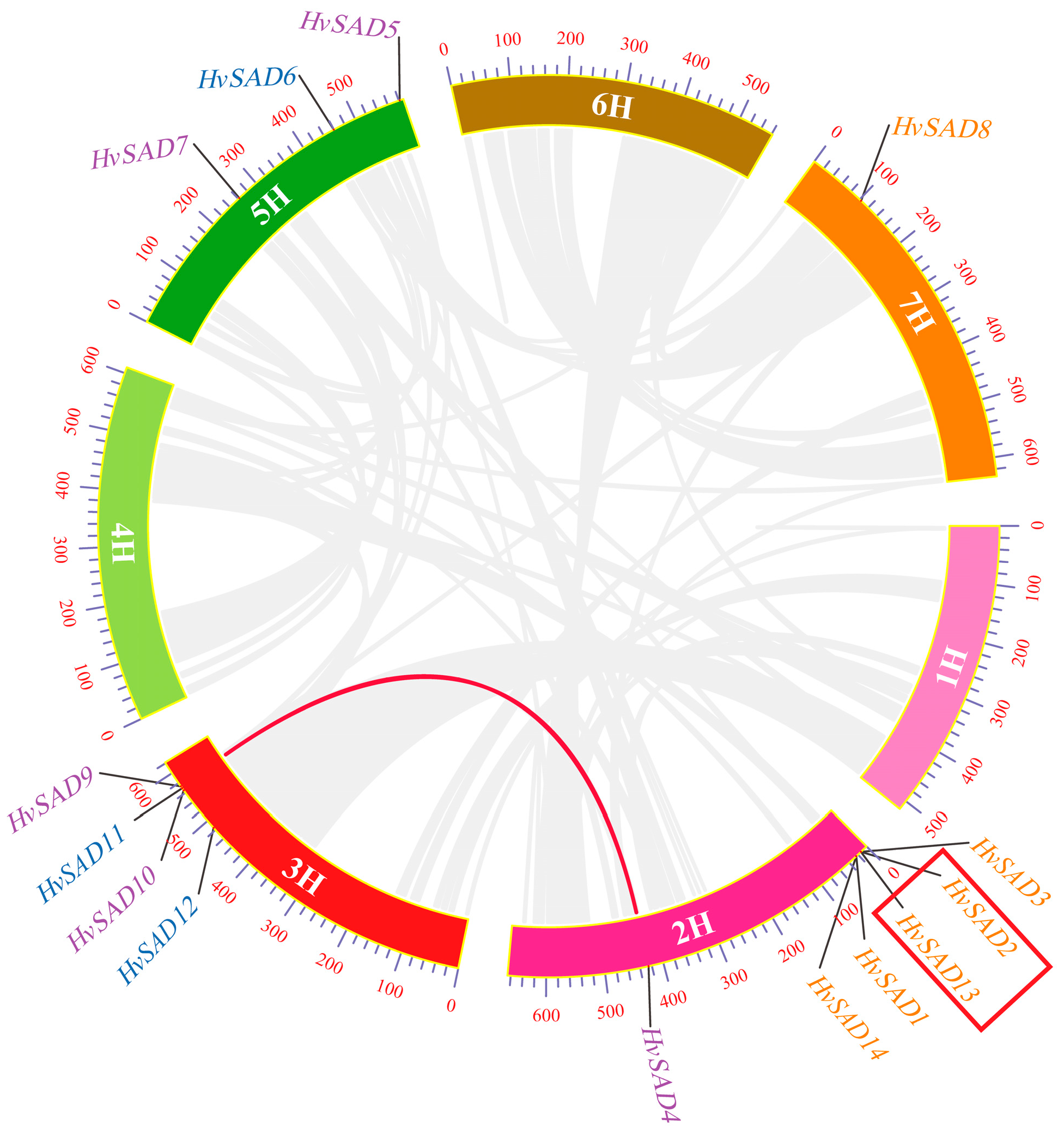 Ijms 25 00113 g006 Ijms 25 00113 g006