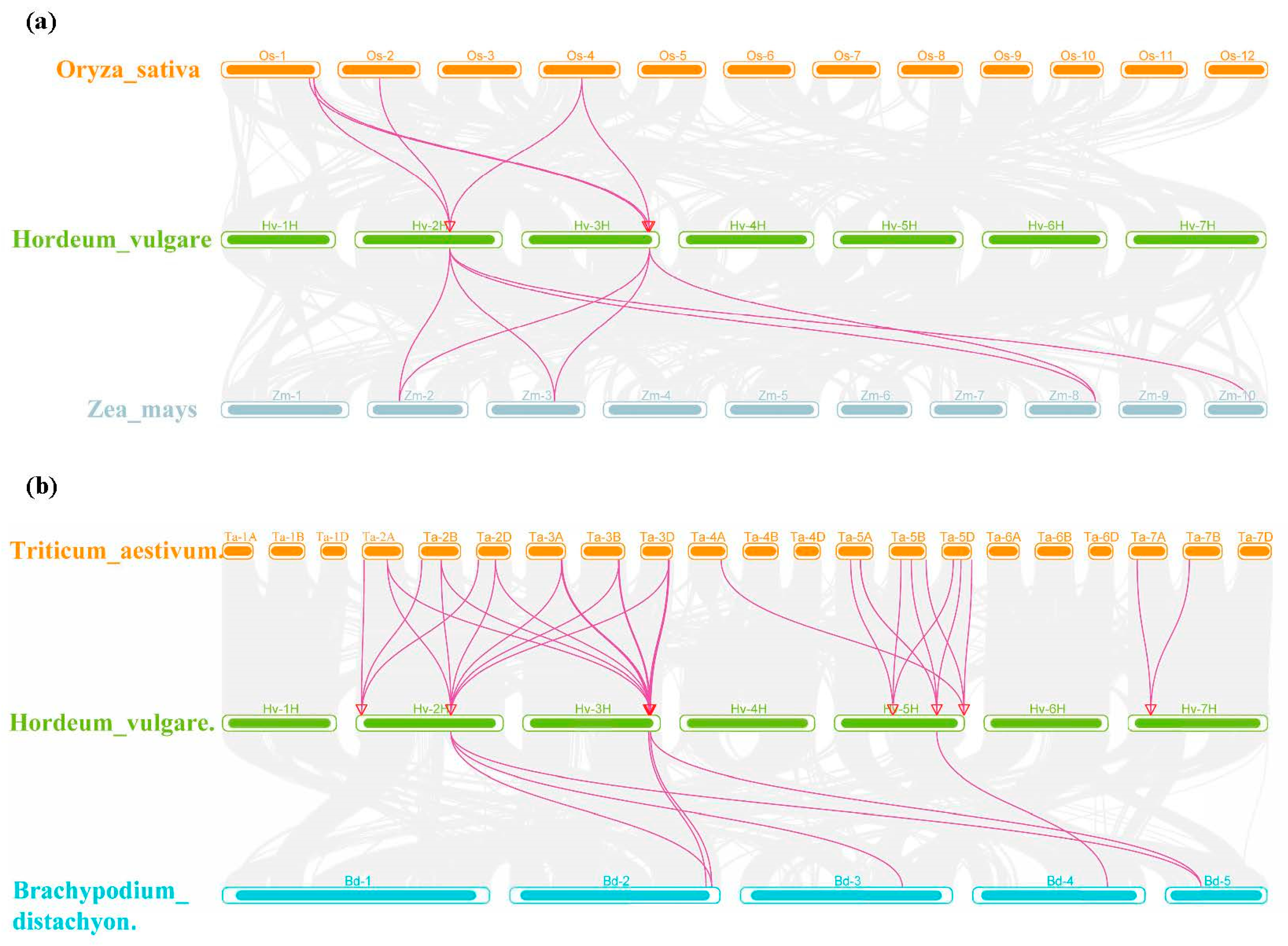 Ijms 25 00113 g007 Ijms 25 00113 g007