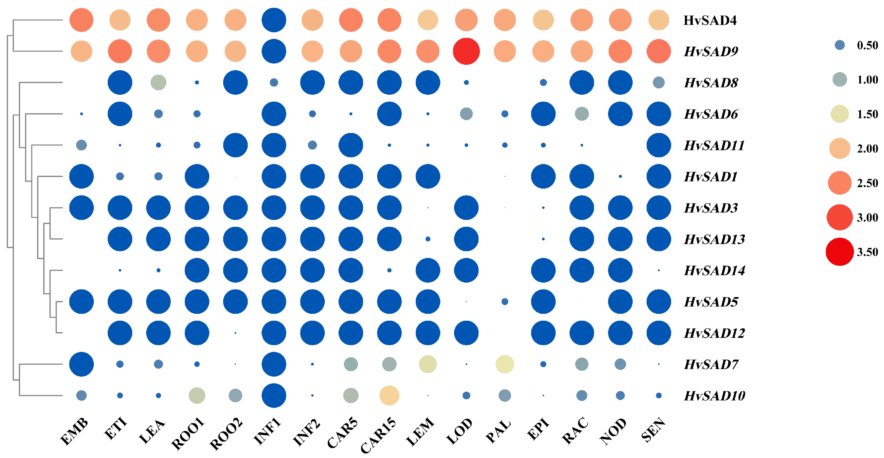 Ijms 25 00113 g008 Ijms 25 00113 g008