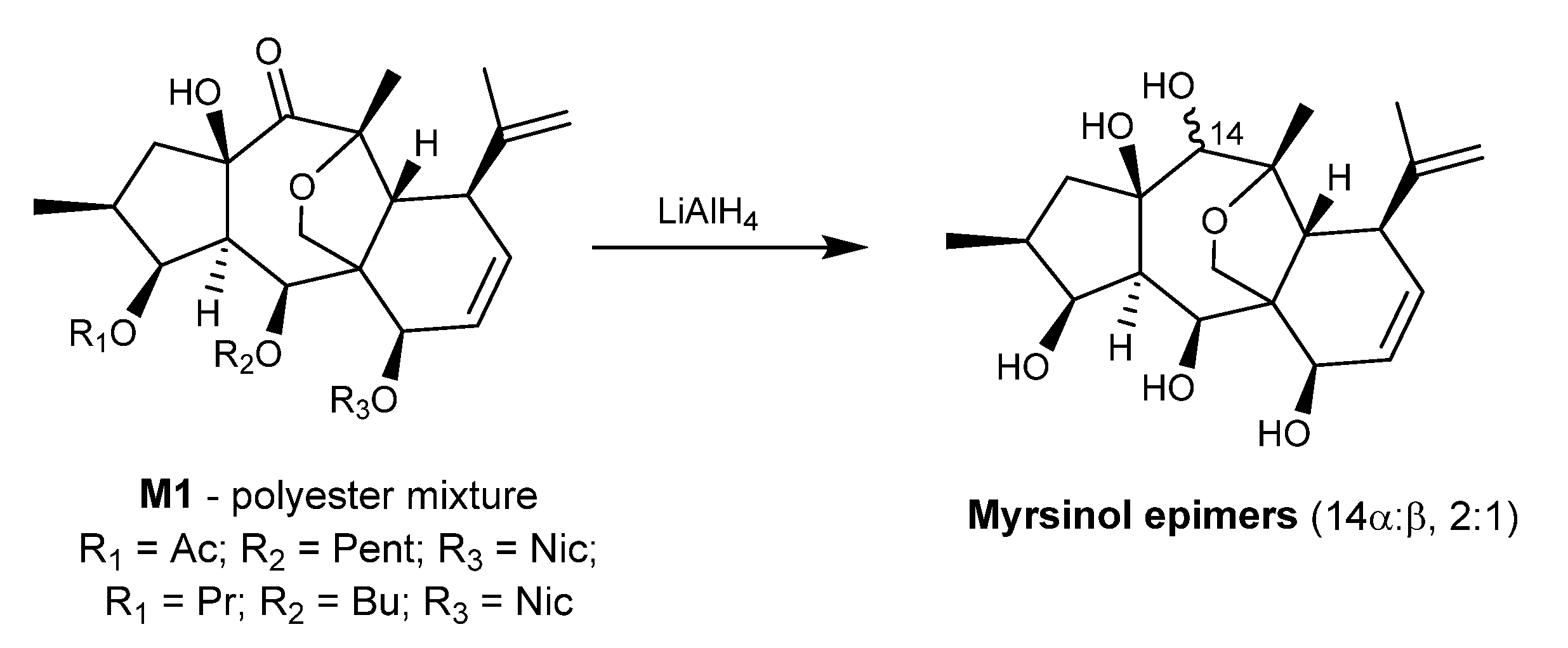 Ijms 25 00147 g003