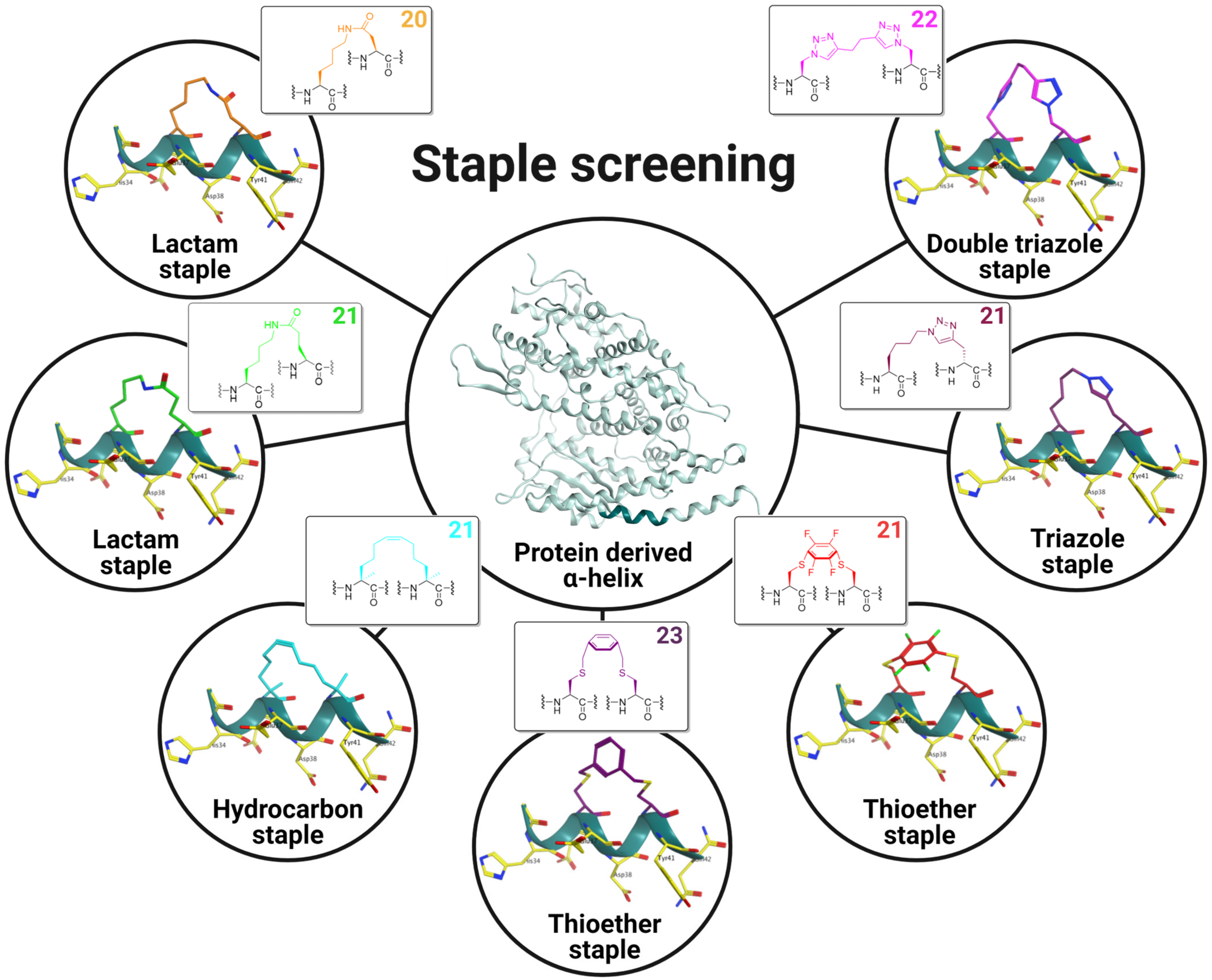 Ijms 25 00166 g001 Ijms 25 00166 g001