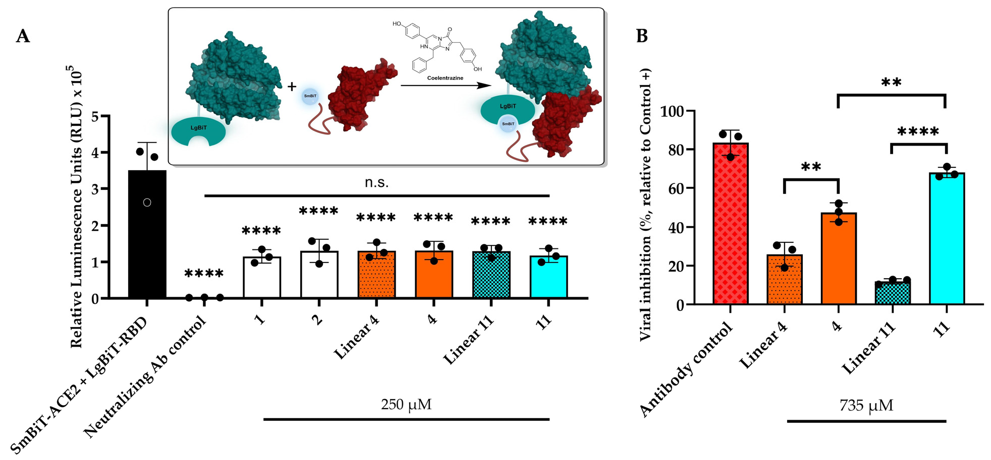 Ijms 25 00166 g006 Ijms 25 00166 g006
