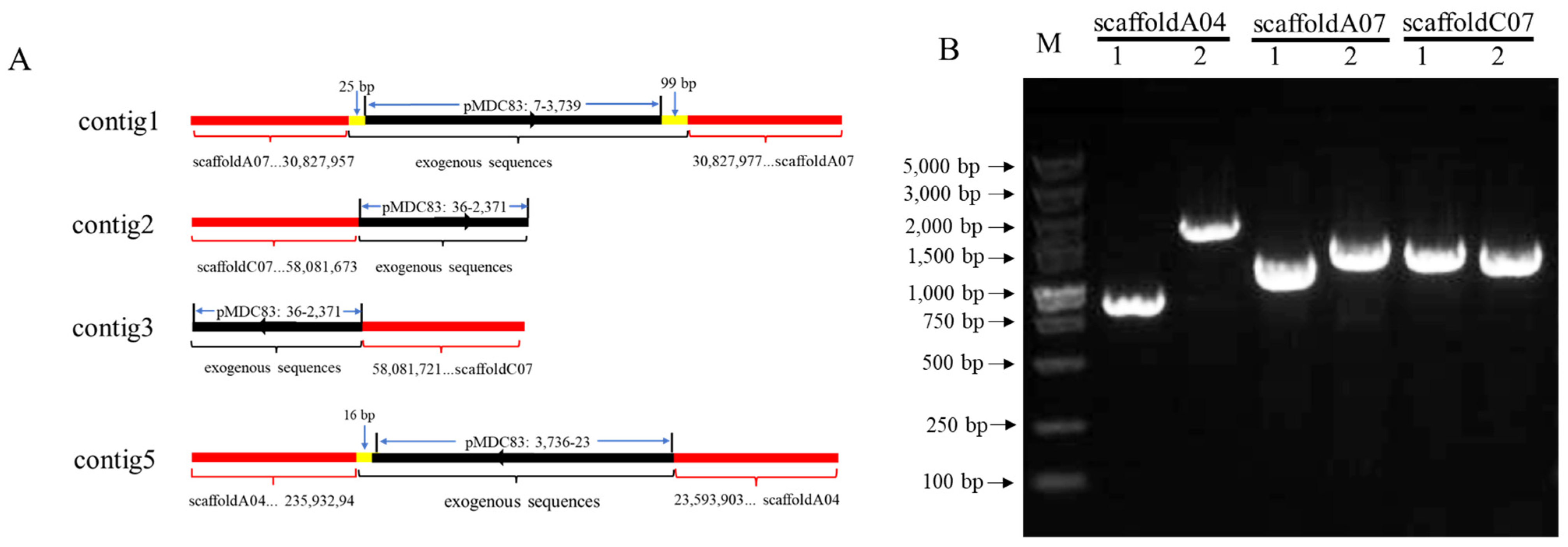 Ijms 25 00174 g005 Ijms 25 00174 g005