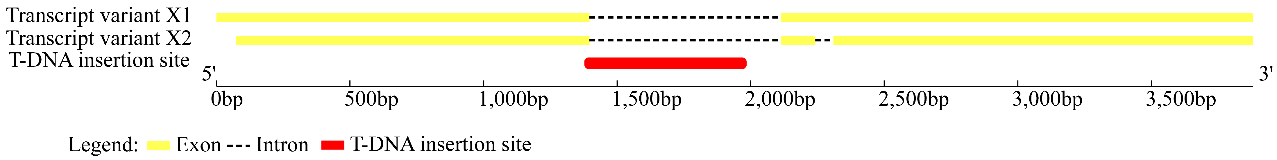 Ijms 25 00174 g006 Ijms 25 00174 g006