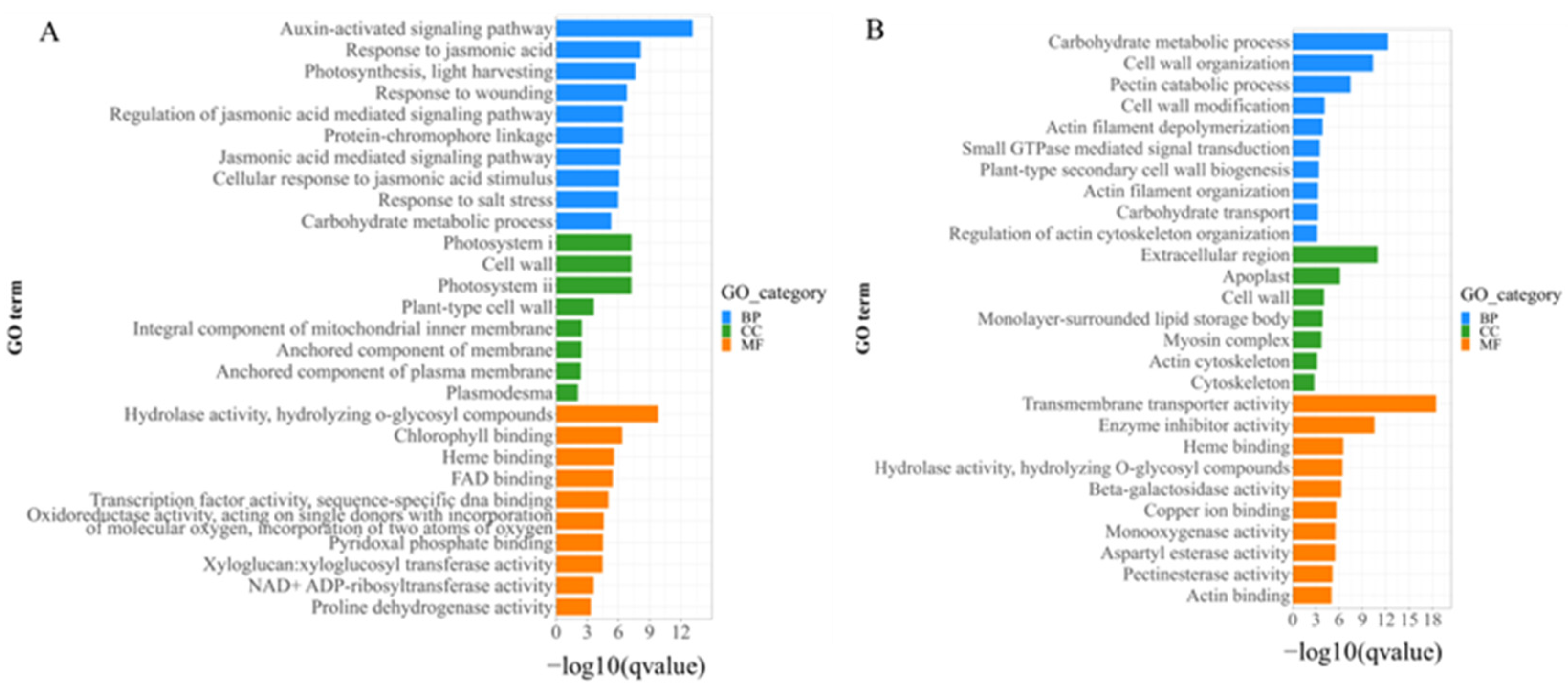 Ijms 25 00174 g009 Ijms 25 00174 g009