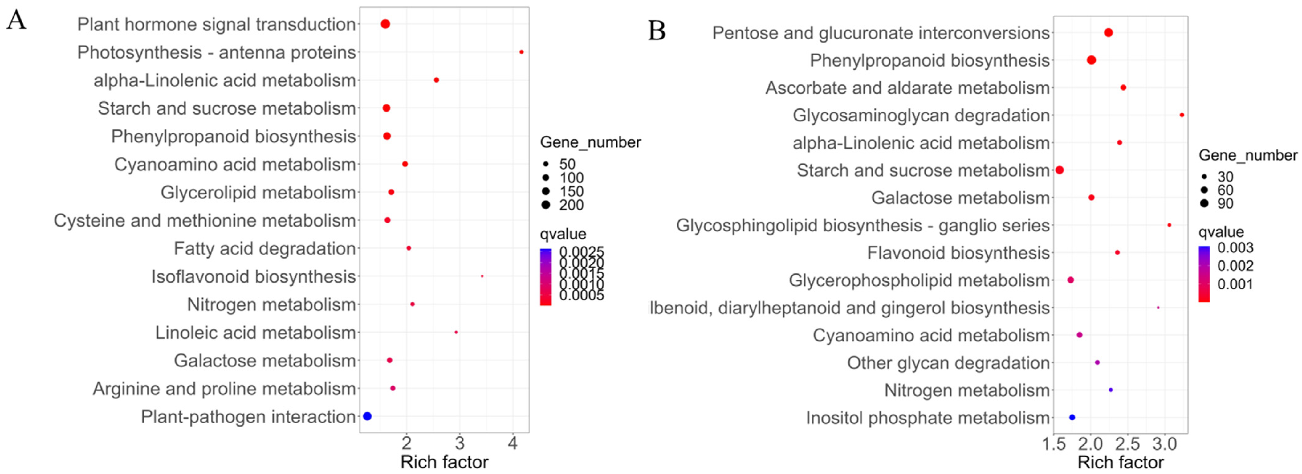 Ijms 25 00174 g010 Ijms 25 00174 g010