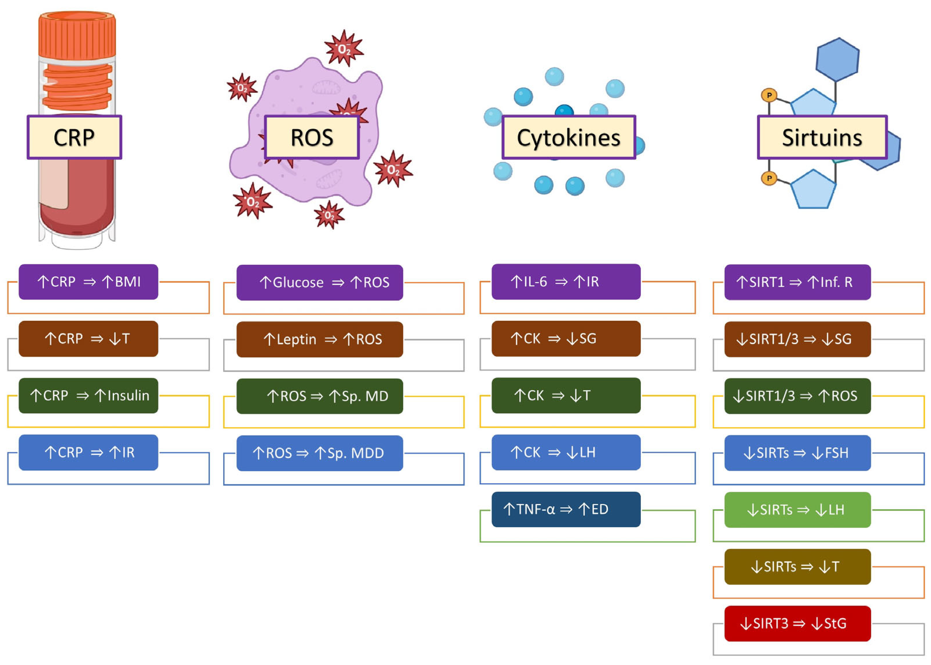Ijms 25 00179 g002 Ijms 25 00179 g002