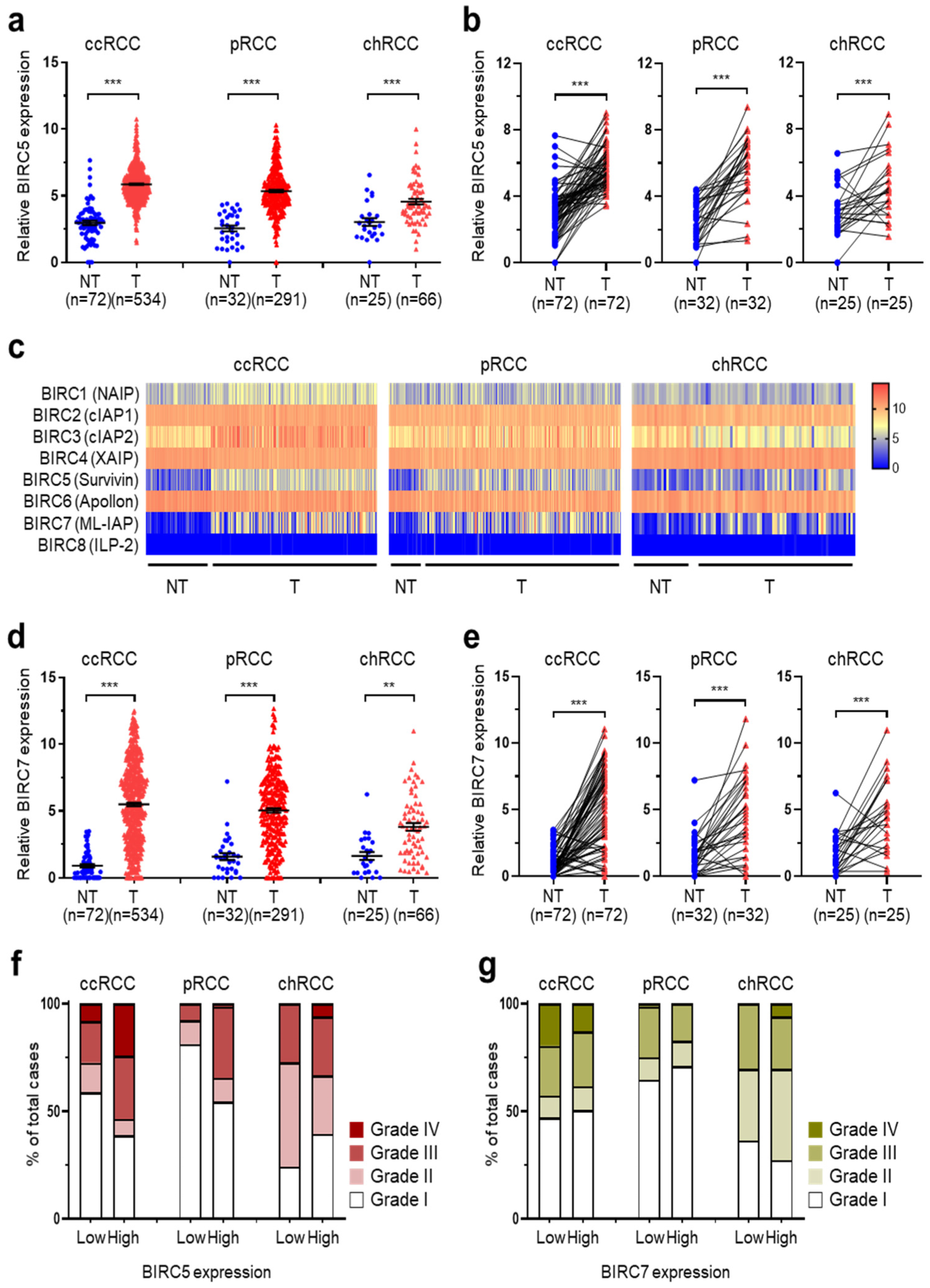 Ijms 25 00216 g001 Ijms 25 00216 g001