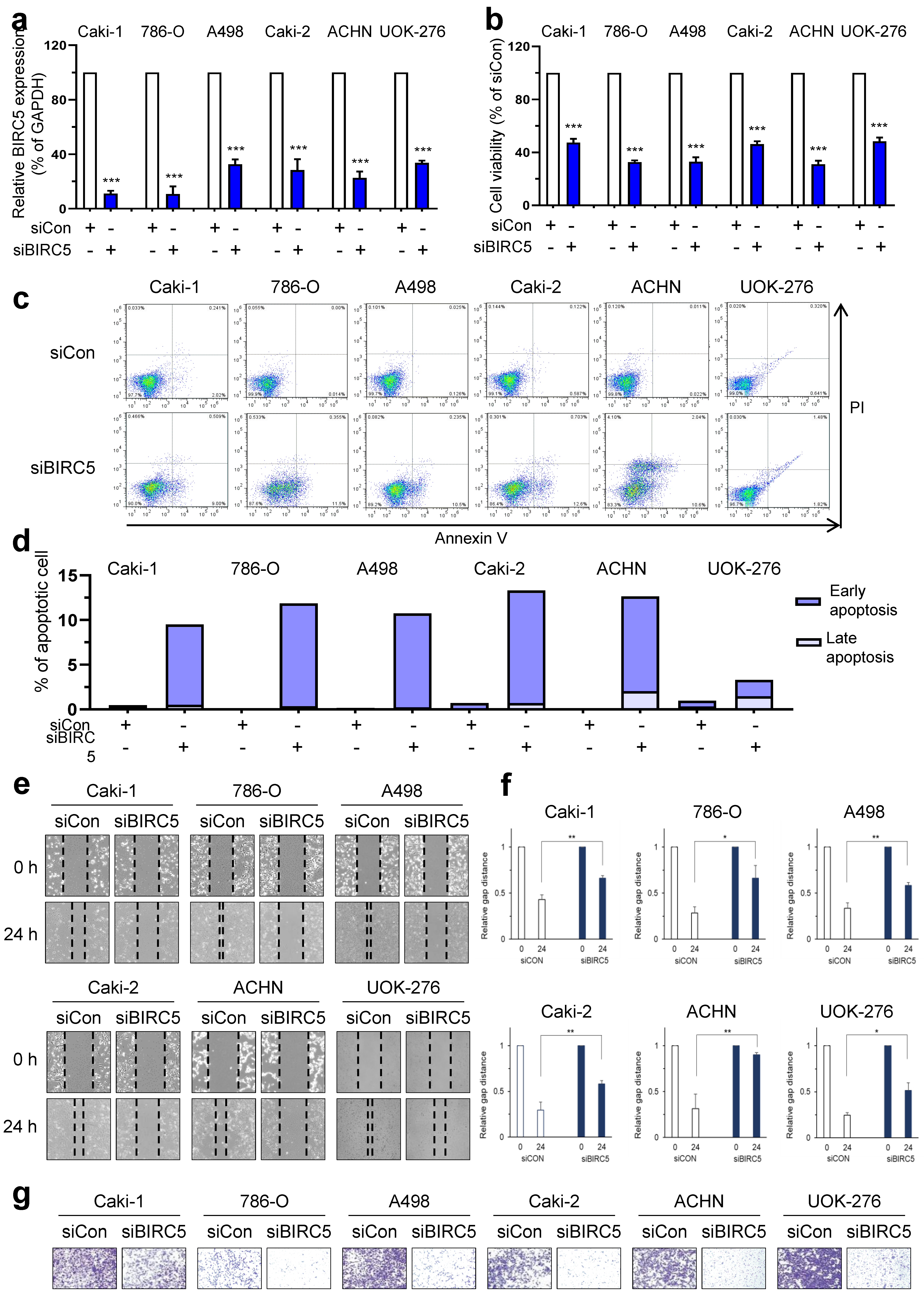 Ijms 25 00216 g002 Ijms 25 00216 g002