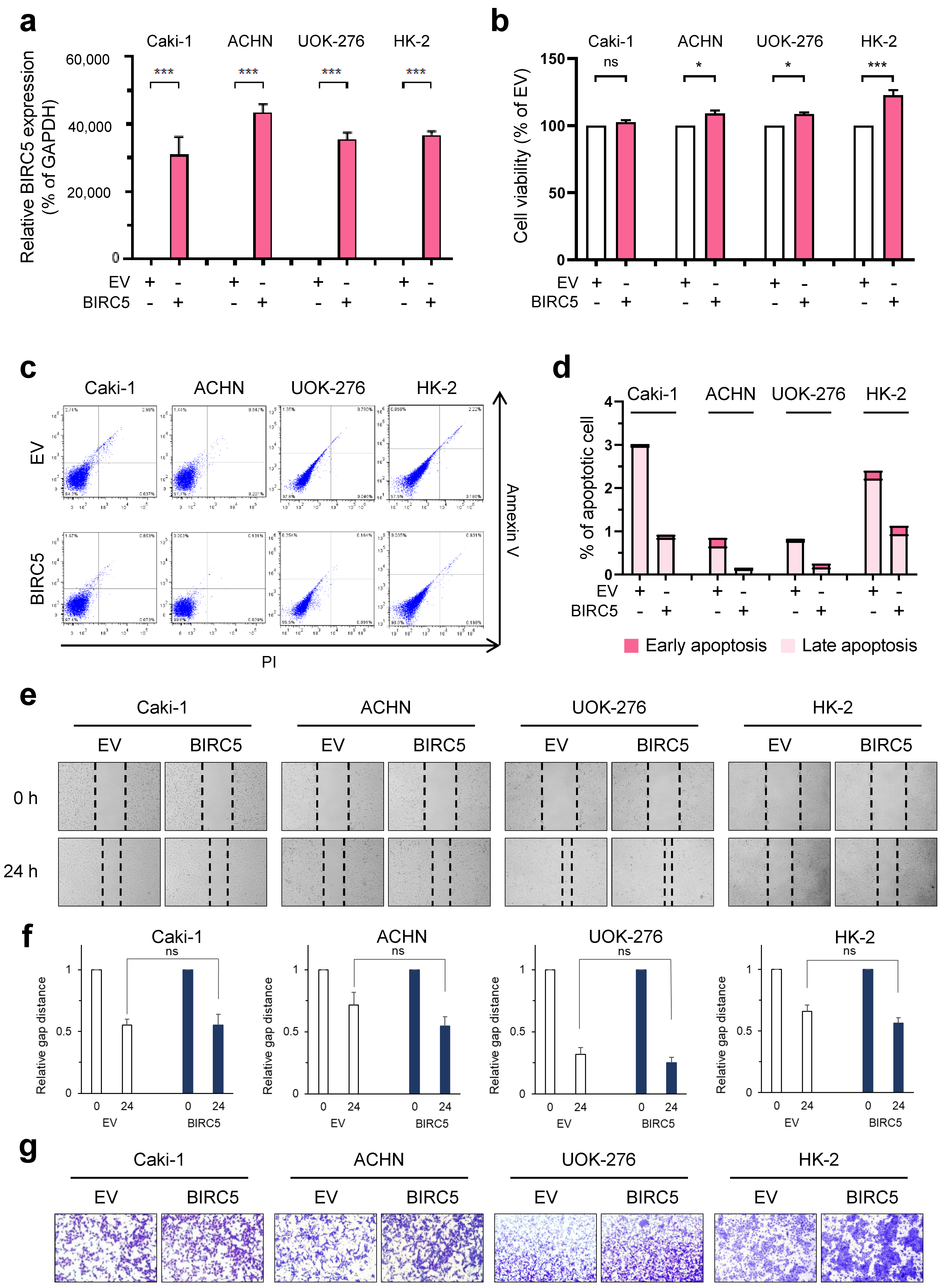 Ijms 25 00216 g003 Ijms 25 00216 g003