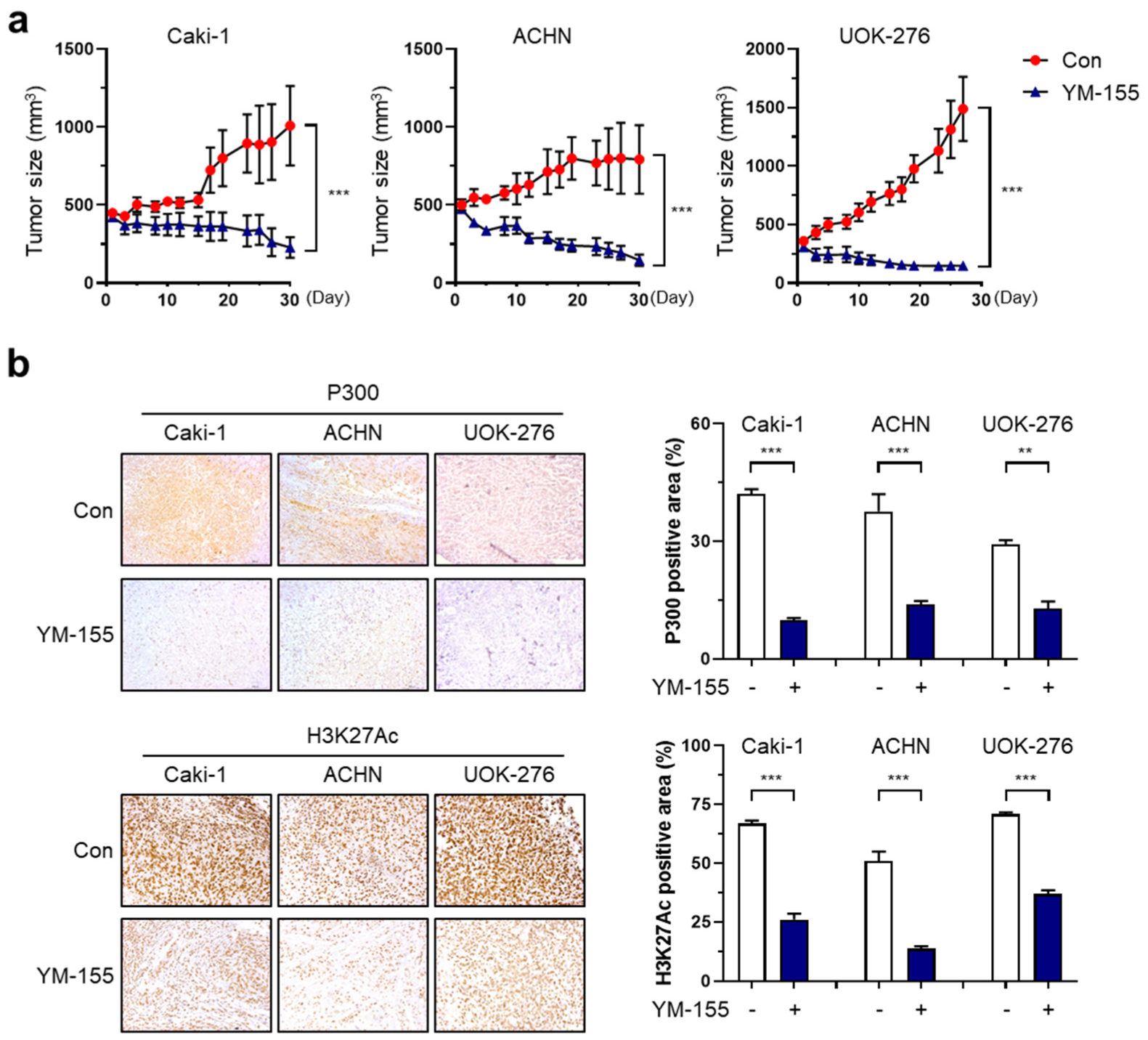 Ijms 25 00216 g006 Ijms 25 00216 g006
