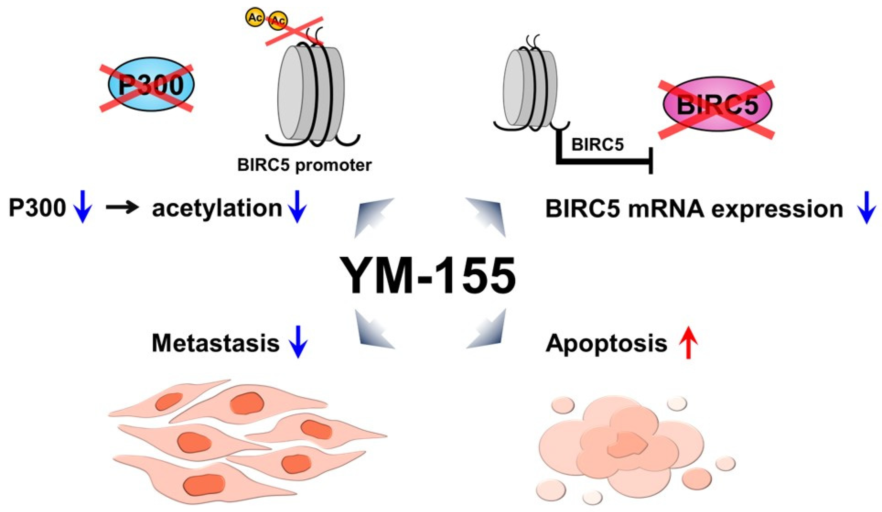 Ijms 25 00216 g007 Ijms 25 00216 g007
