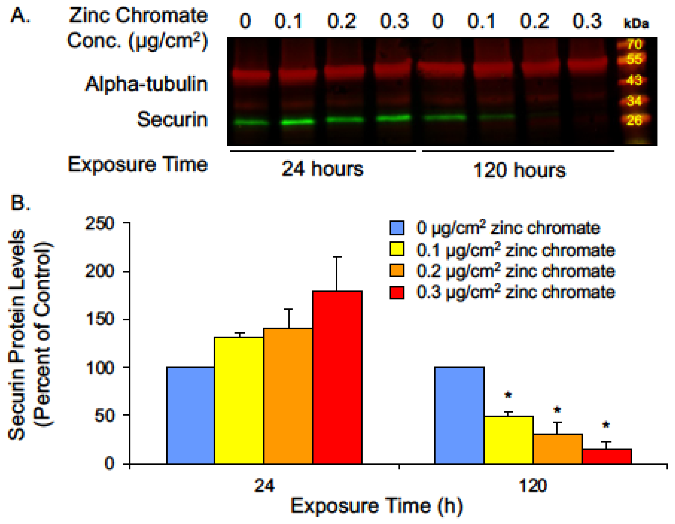 Ijms 25 00256 g001 Ijms 25 00256 g001