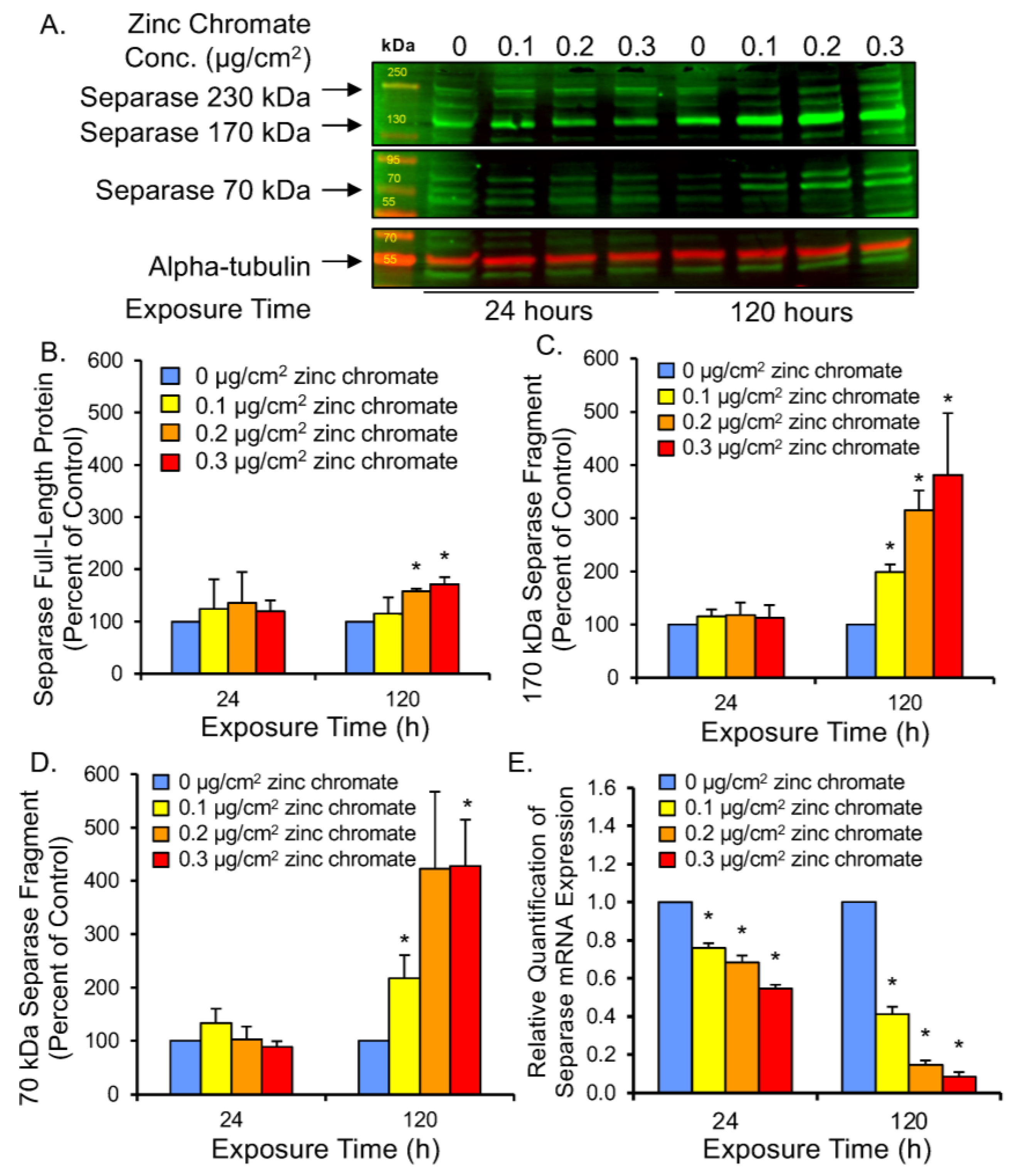 Ijms 25 00256 g004 Ijms 25 00256 g004