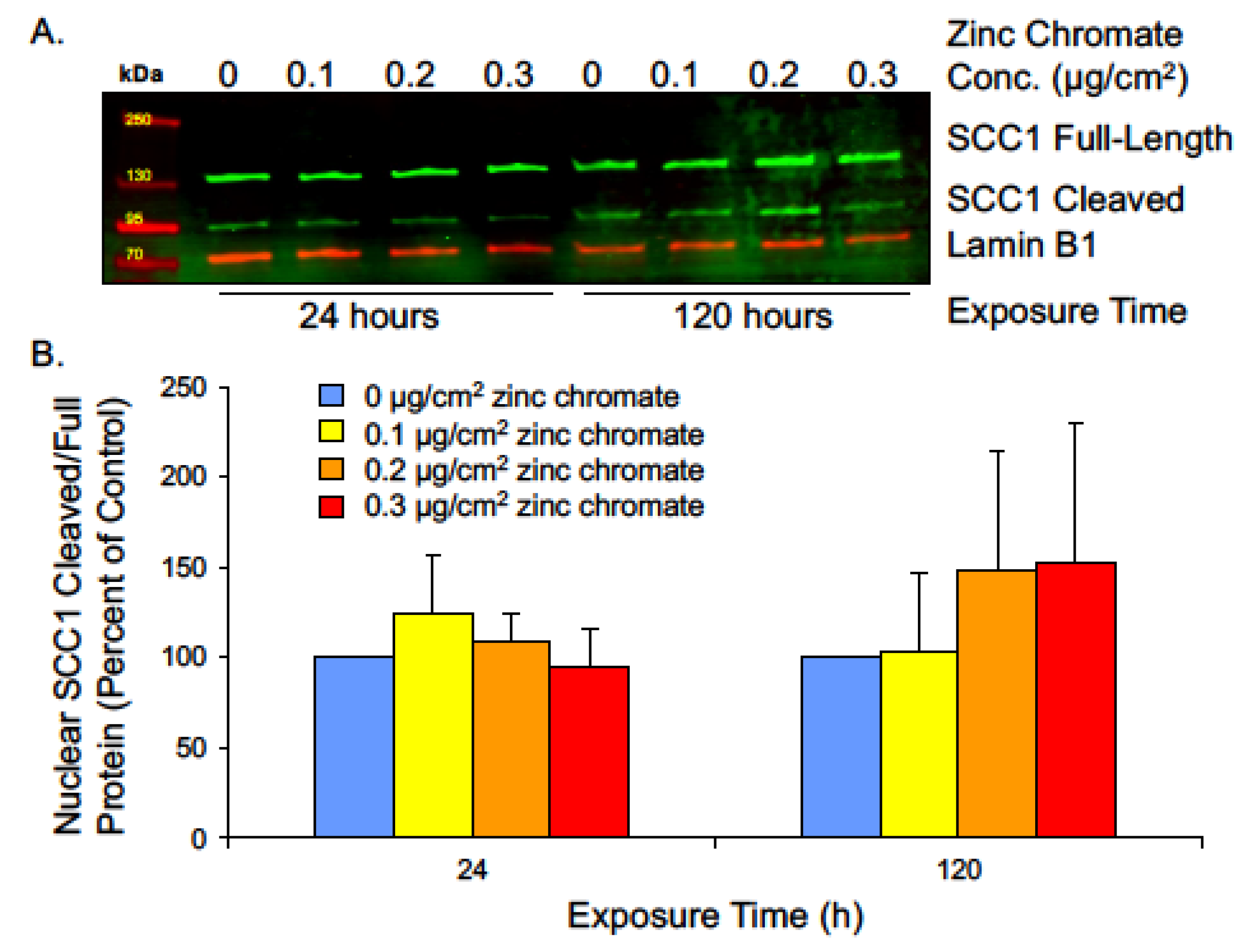 Ijms 25 00256 g006 Ijms 25 00256 g006