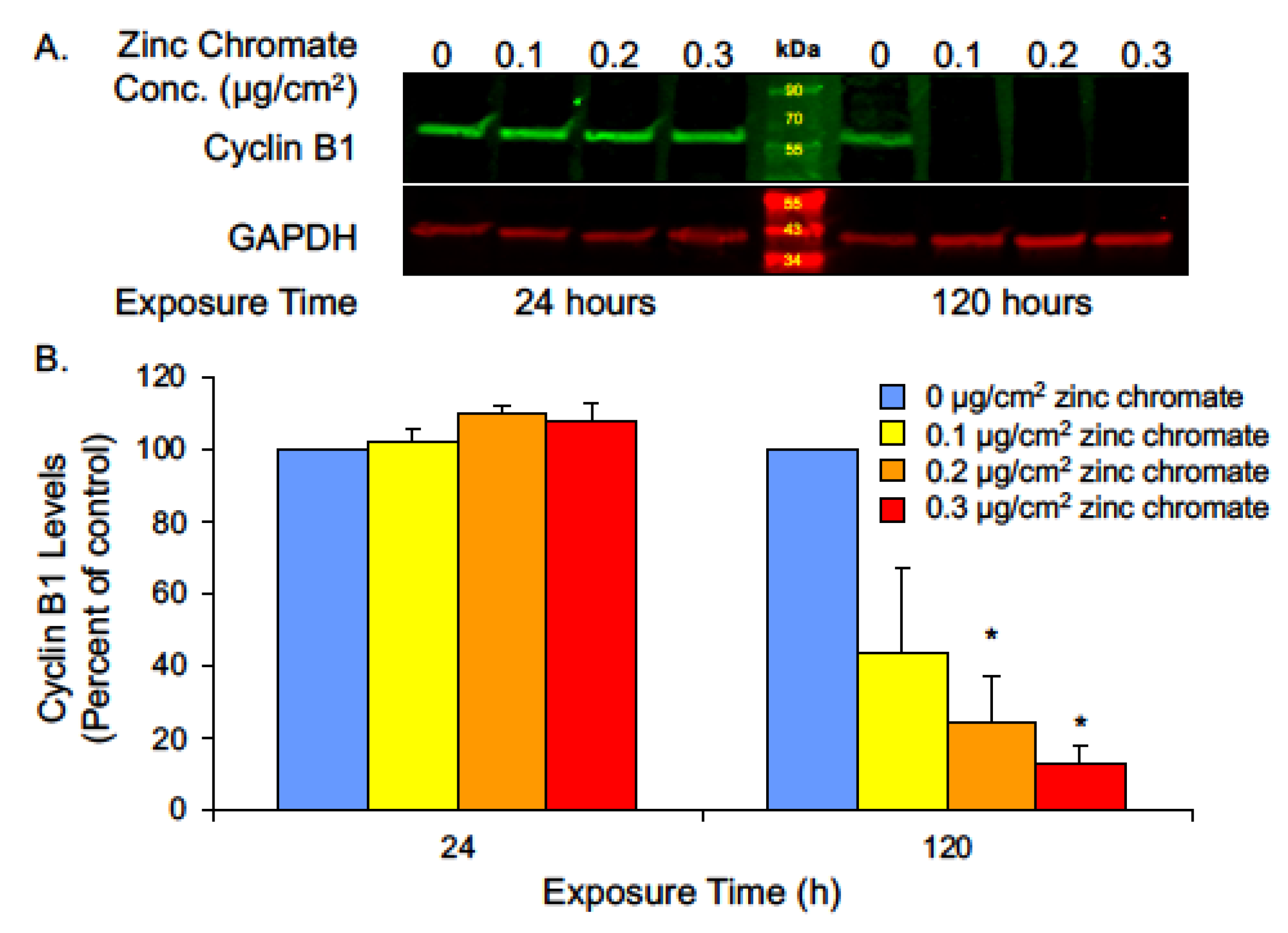 Ijms 25 00256 g007 Ijms 25 00256 g007